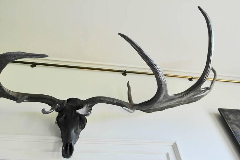 Antlers For Sale >> Monumental Bronze Finish Irish Elk Antlers Trophy Antlers For Sale >> Monumental Bronze Finish Irish Elk Antlers Trophy