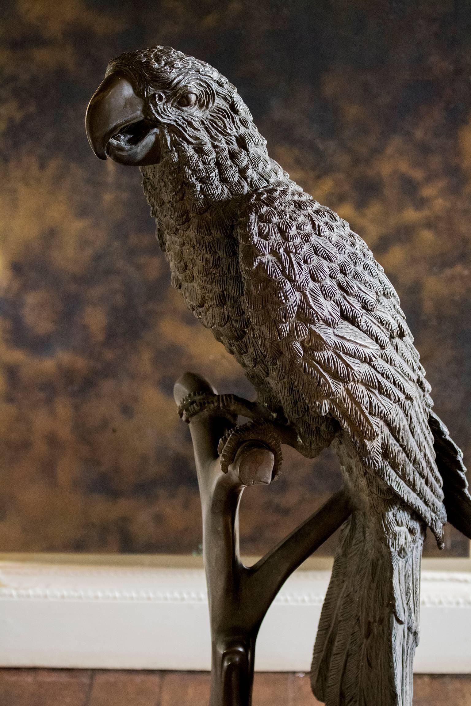 A vintage bronze parrot figure, raised on a naturalistic cast pedestal.

Please enquire about shipping costs.