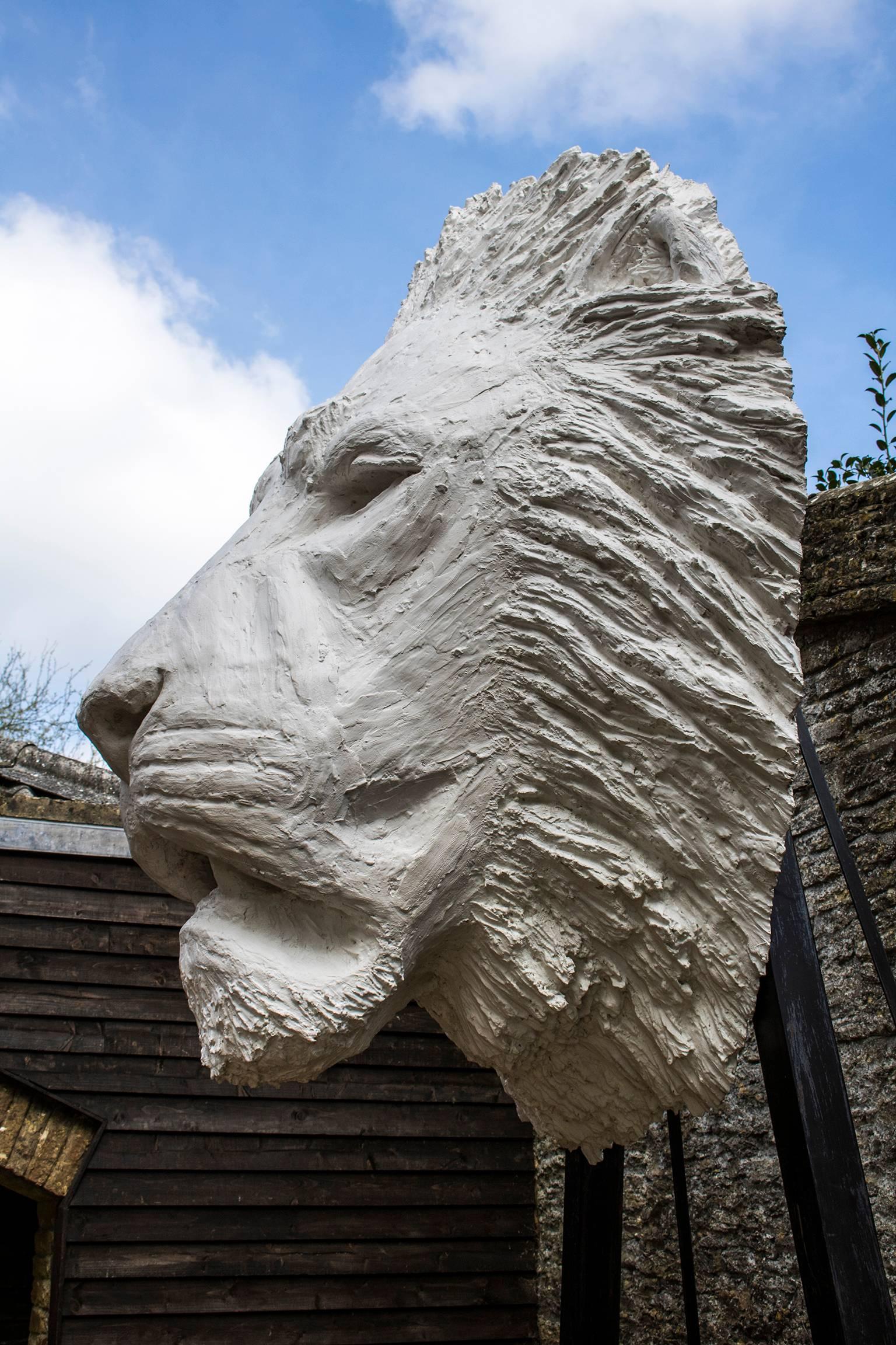 A monumental study of a lion head entitled 'Dawn Patrol' by Bruce Little, sculptor, an edition of the Longleat Lion 50th anniversary celebration, sculpted in white marble resin and mounted on a metal display frame .

Please note, measurements