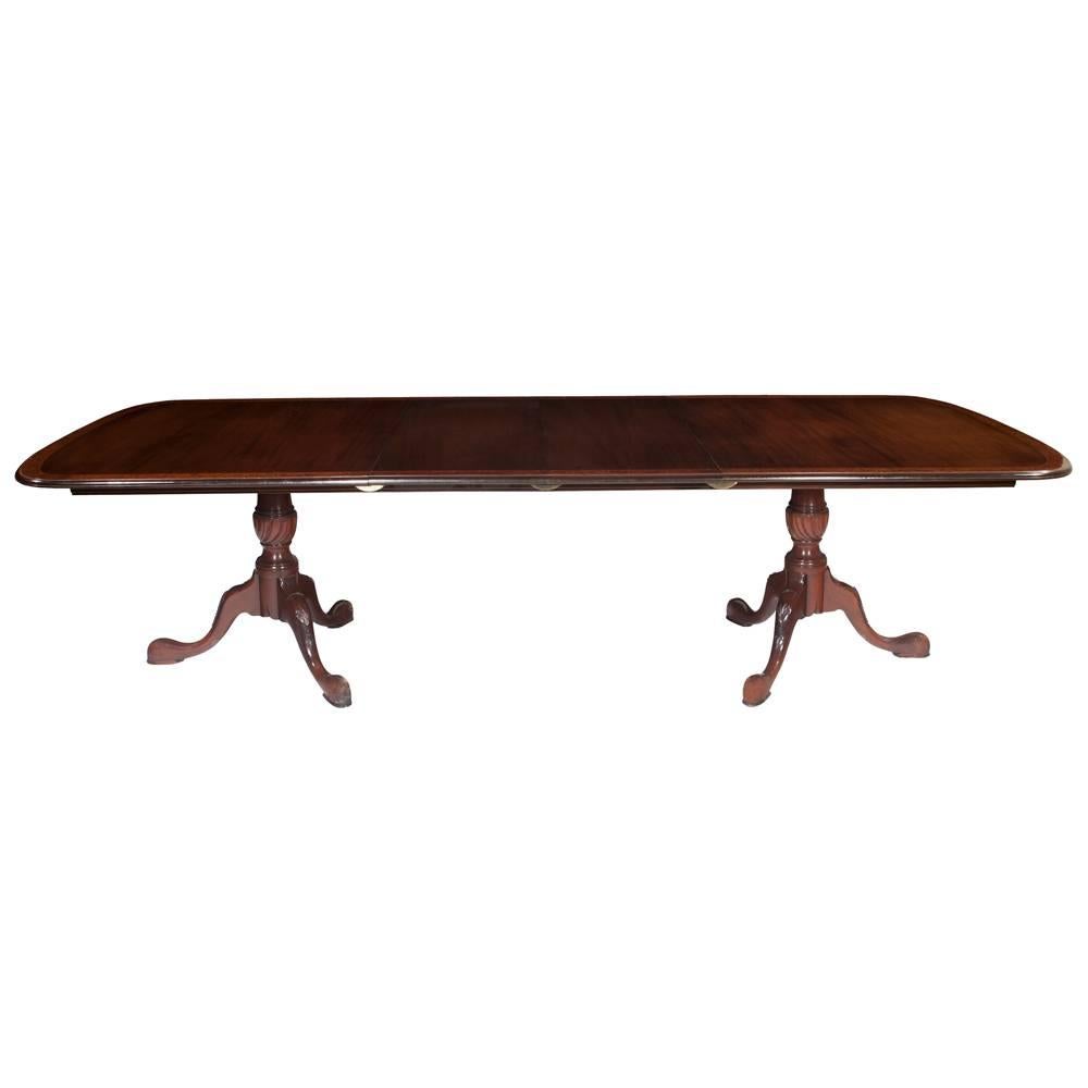 Two pedestal Sheraton mahogany dining table with a burl walnut banded top, two leaves being 18