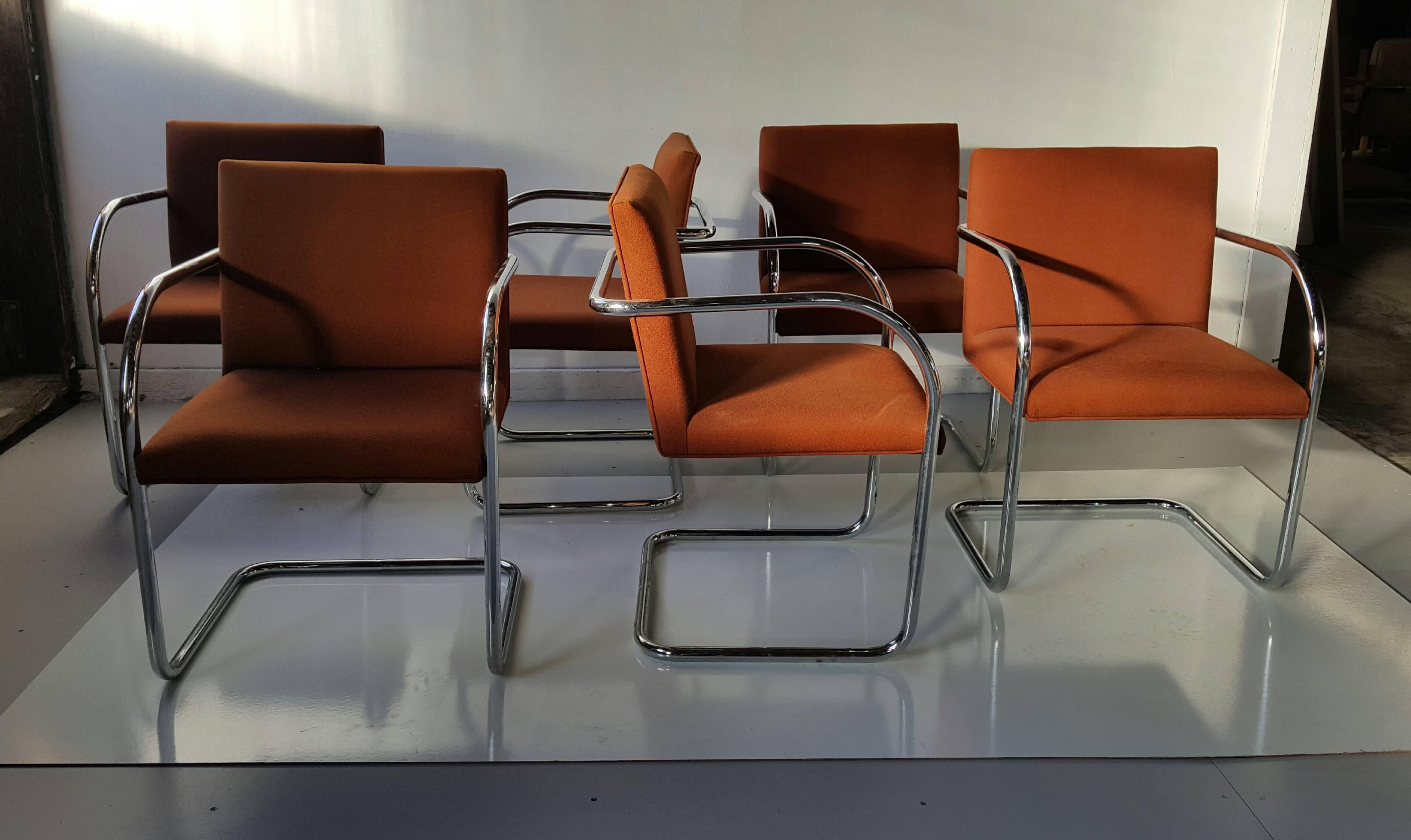 Bauhaus Set of 12 Classic Brno Cantilever Armchairs, Mies Van Der Rohe /Lilly Reich