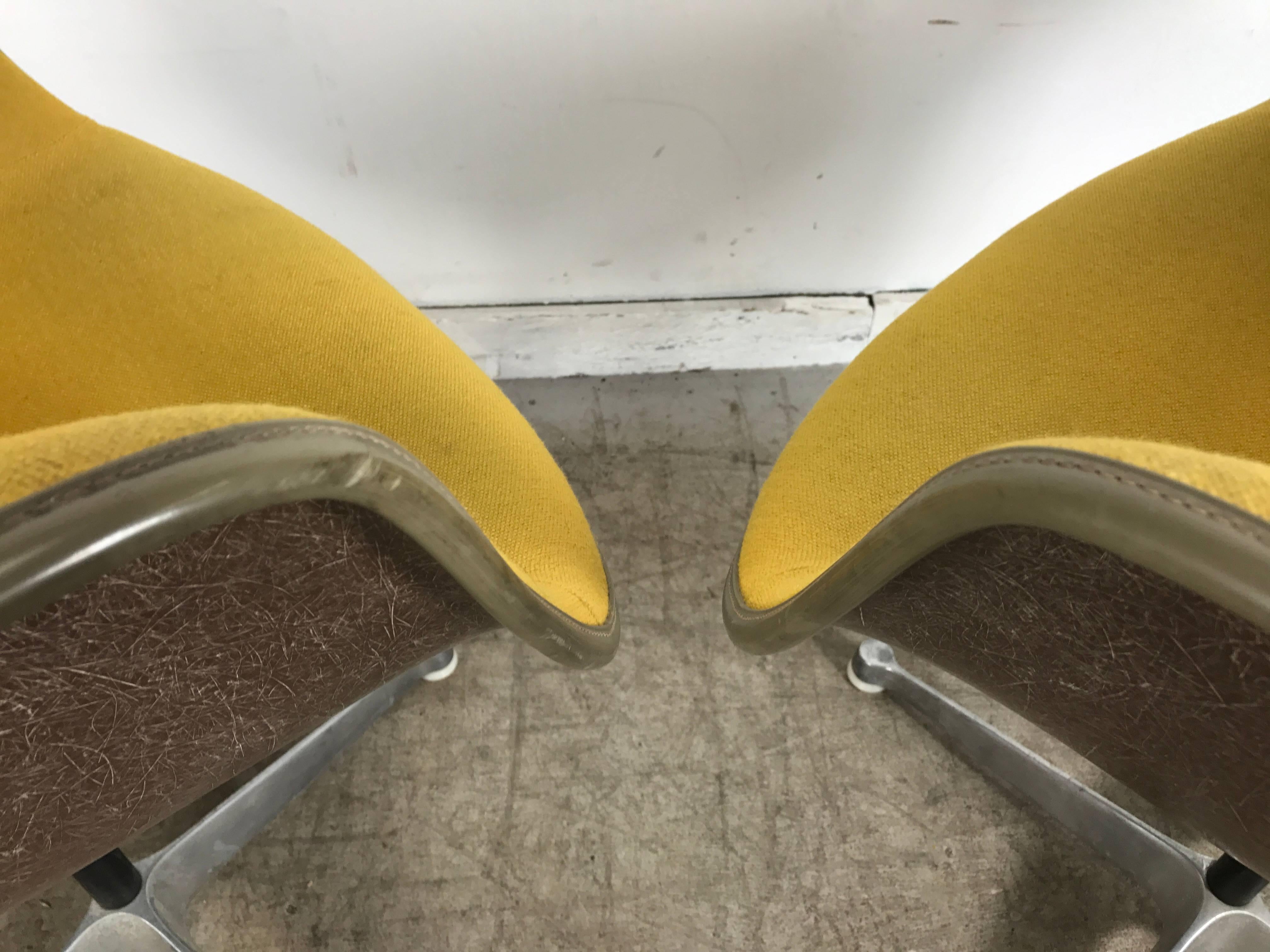 Paire de fauteuils Charles et Ray Eames à accoudoirs pivotants en coque rembourrée, combinaison inhabituelle de couleurs, coques en fibre de verre apparente de couleur marron précoce. Couvertures en tissu jaune moutarde, passepoil gris, base en