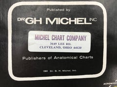 Vintage Anatomical Pull Down Chart 'Osteology, GH Michel Company