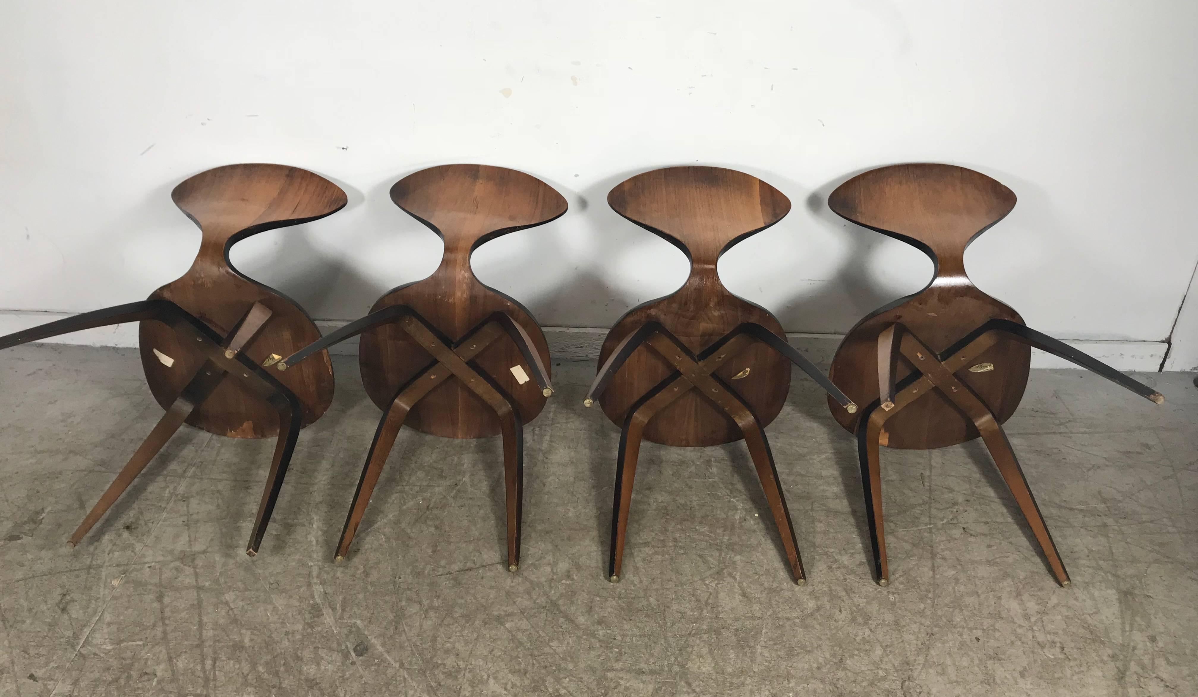 Set of Four Classic Modern Plywood Side Chairs by Norman Cherner for Plycraft 1