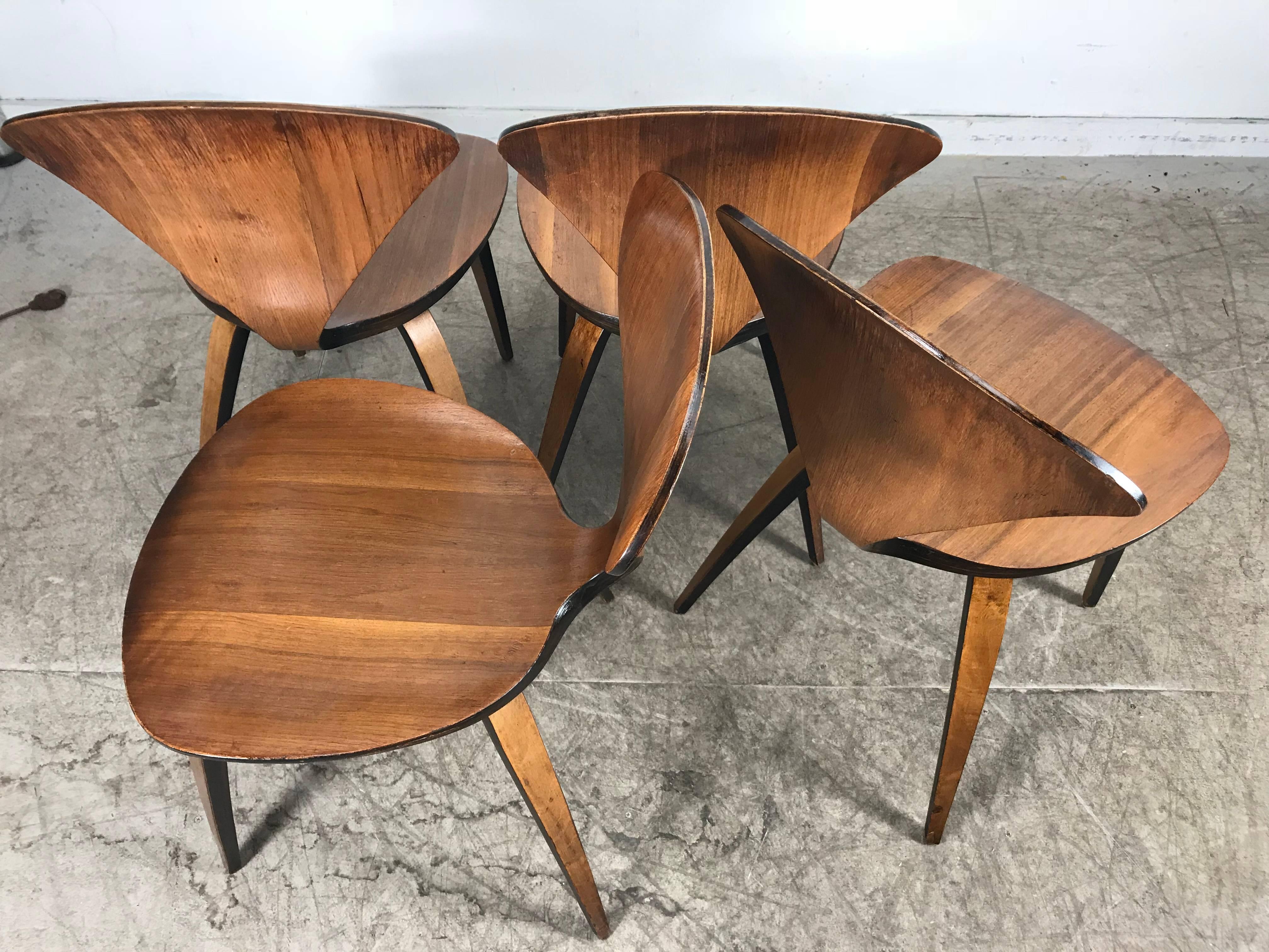 Set of Four Classic Modern Plywood Side Chairs by Norman Cherner for Plycraft 4
