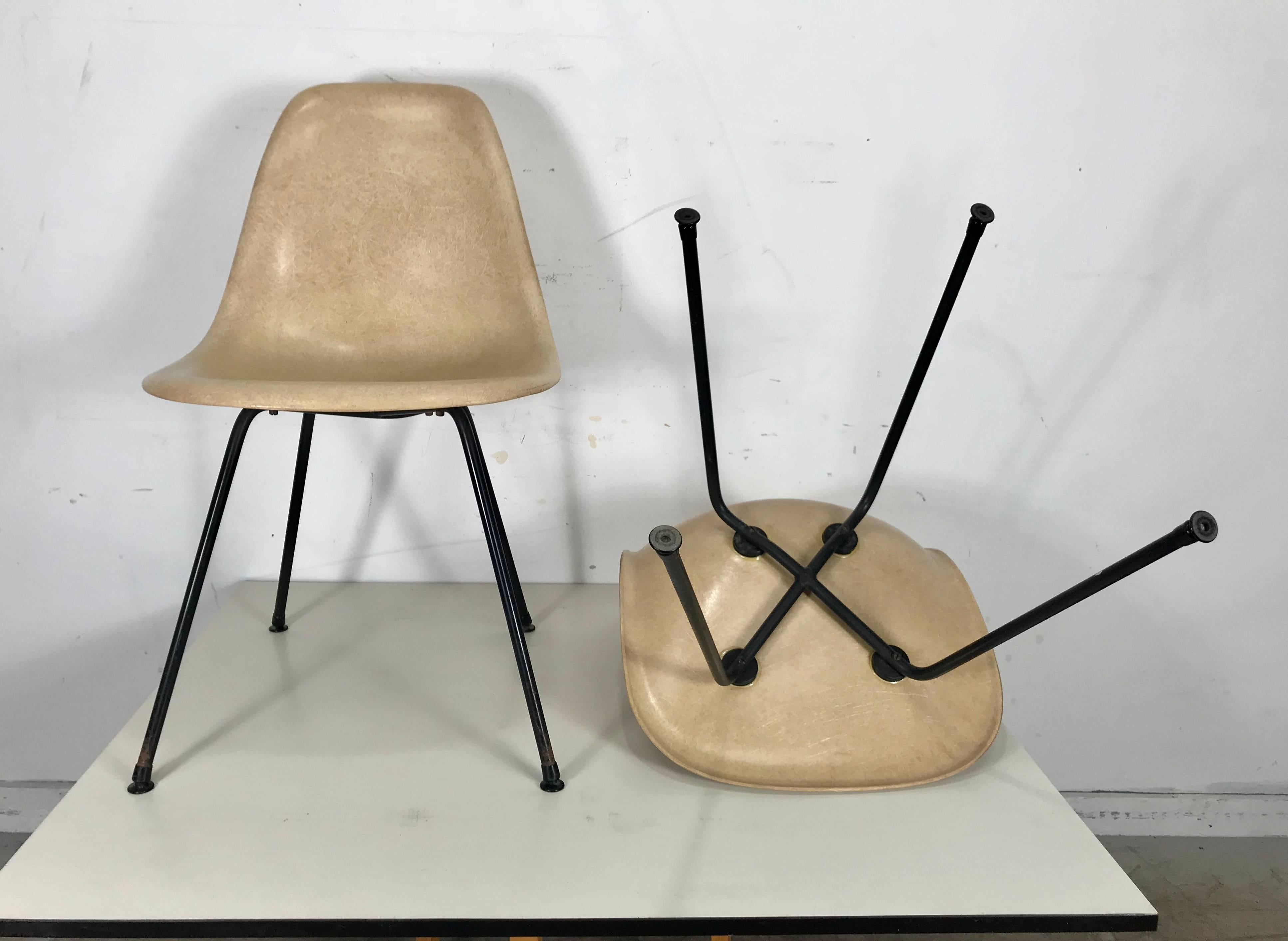 Extremely rare Mid-Century Modern side shell chairs designed by Charles and Ray Eames manufactured by Herman Miller, I believe these to be first year production circa 1950. Matched set of ten featuring translucent, see through parchment fiberglass