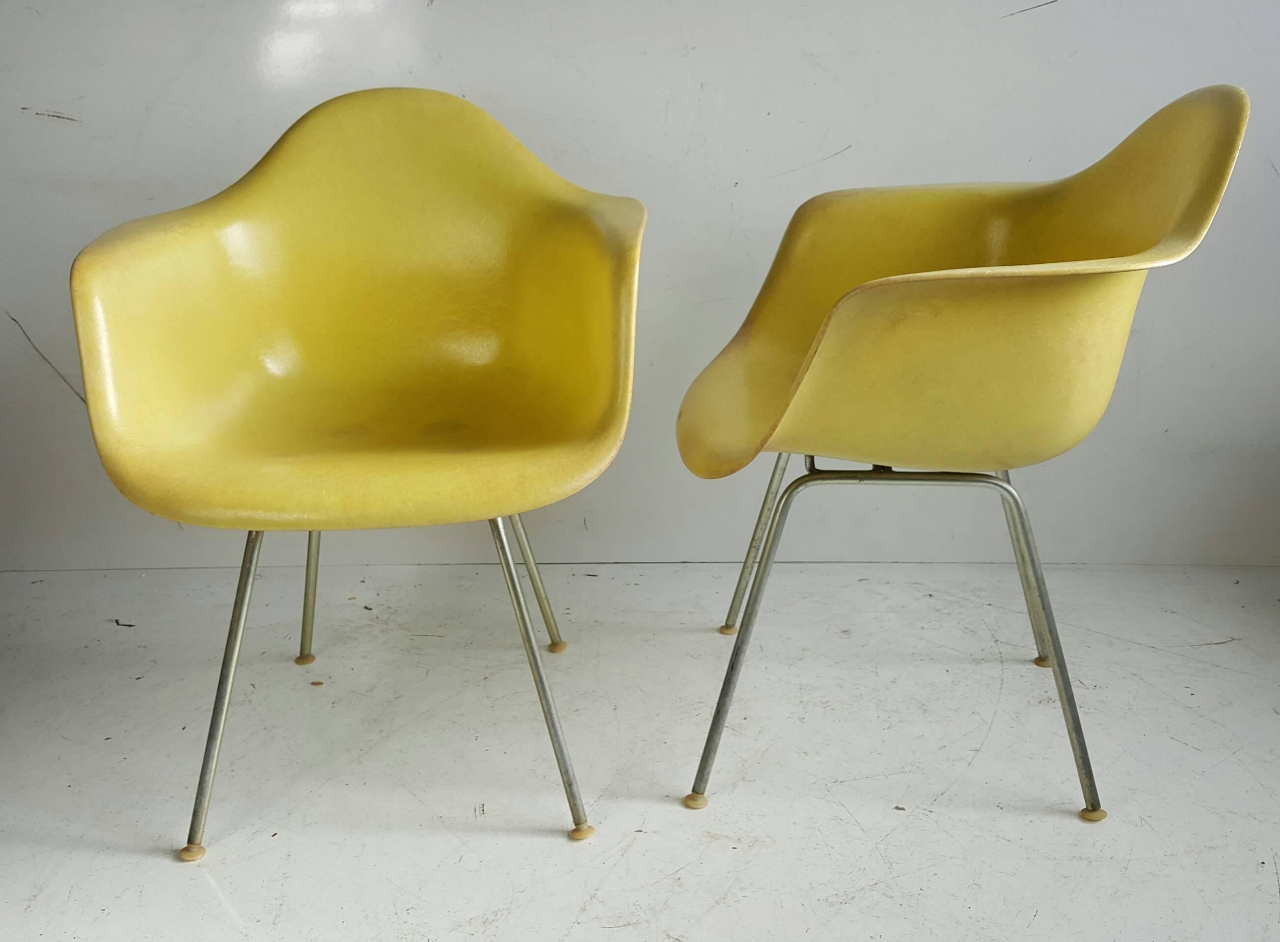 Superbe paire de fauteuils coquille jaune citron conçus par Charles et Ray Eames, fabriqués par Herman Miller, avec des coquilles translucides en fibre de verre parcheminées. Grands supports de chocs 