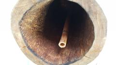 Frühe afrikanische Cuica-Trommel, Stammesskulptur, handgeschnitztes Holz