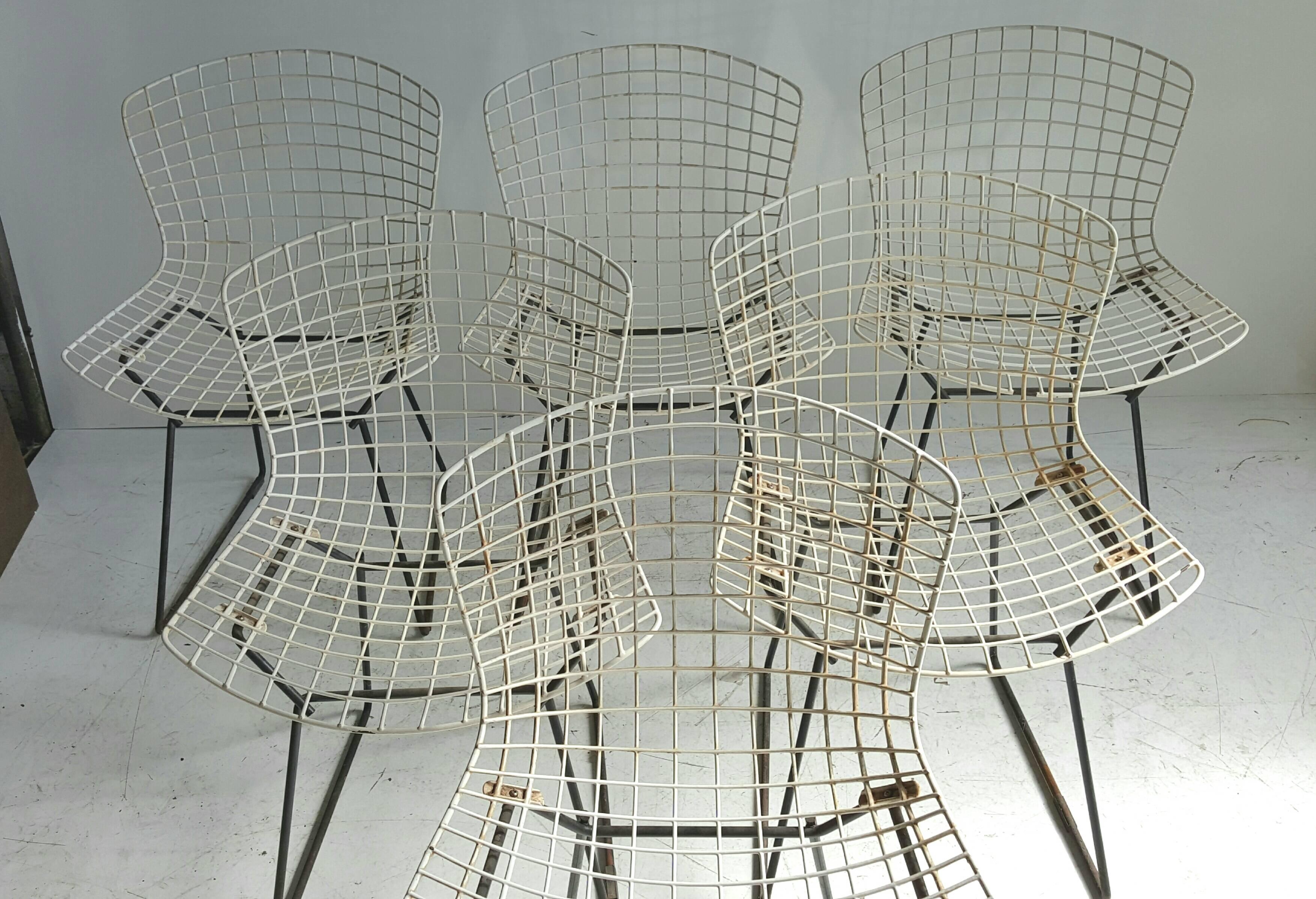 Mid-Century Modern Classic Modernist Wire Bertoia Six Side Chairs Harry Bertoia for Knoll