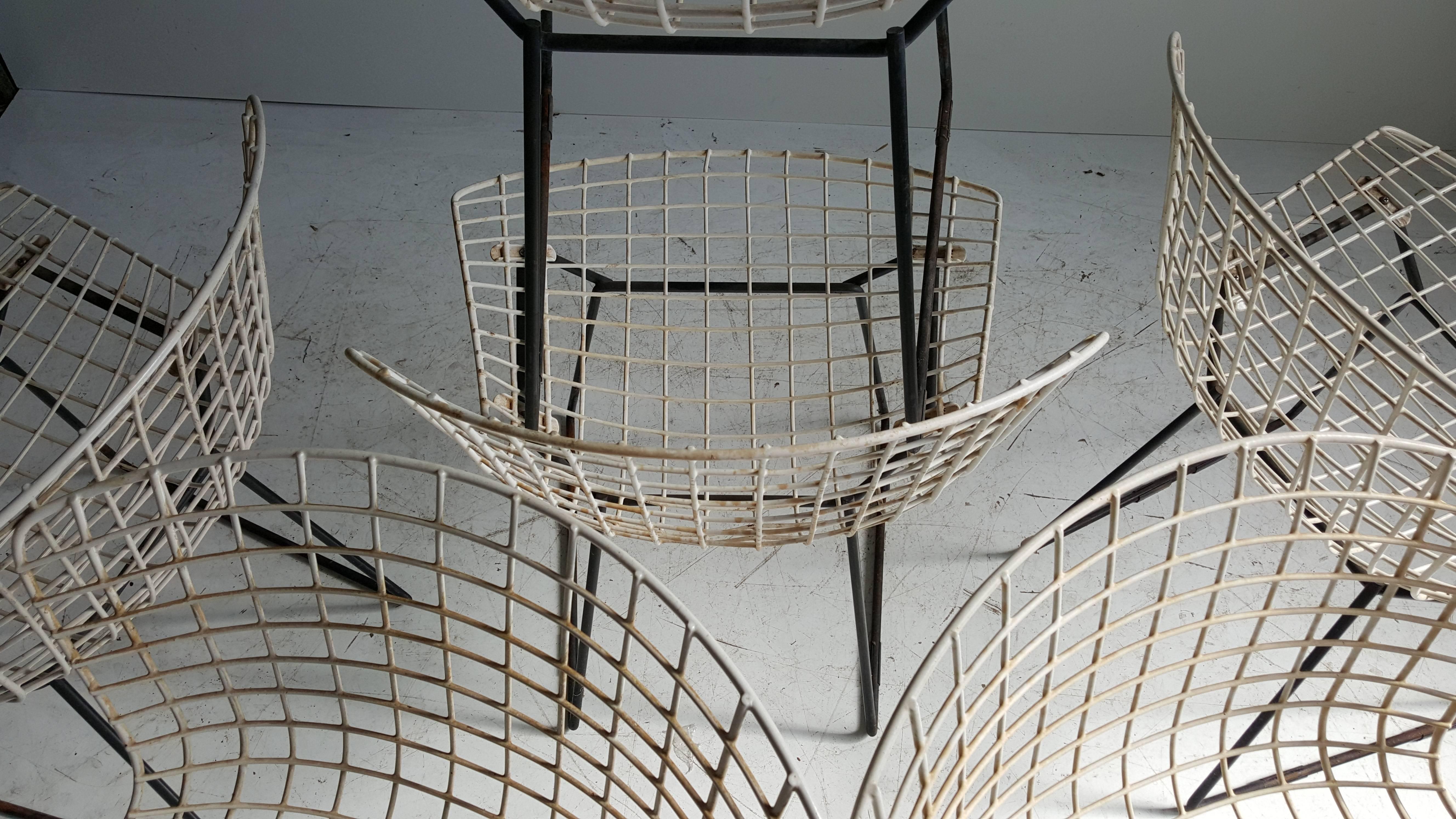 Classic Modernist Wire Bertoia Six Side Chairs Harry Bertoia for Knoll In Good Condition In Buffalo, NY