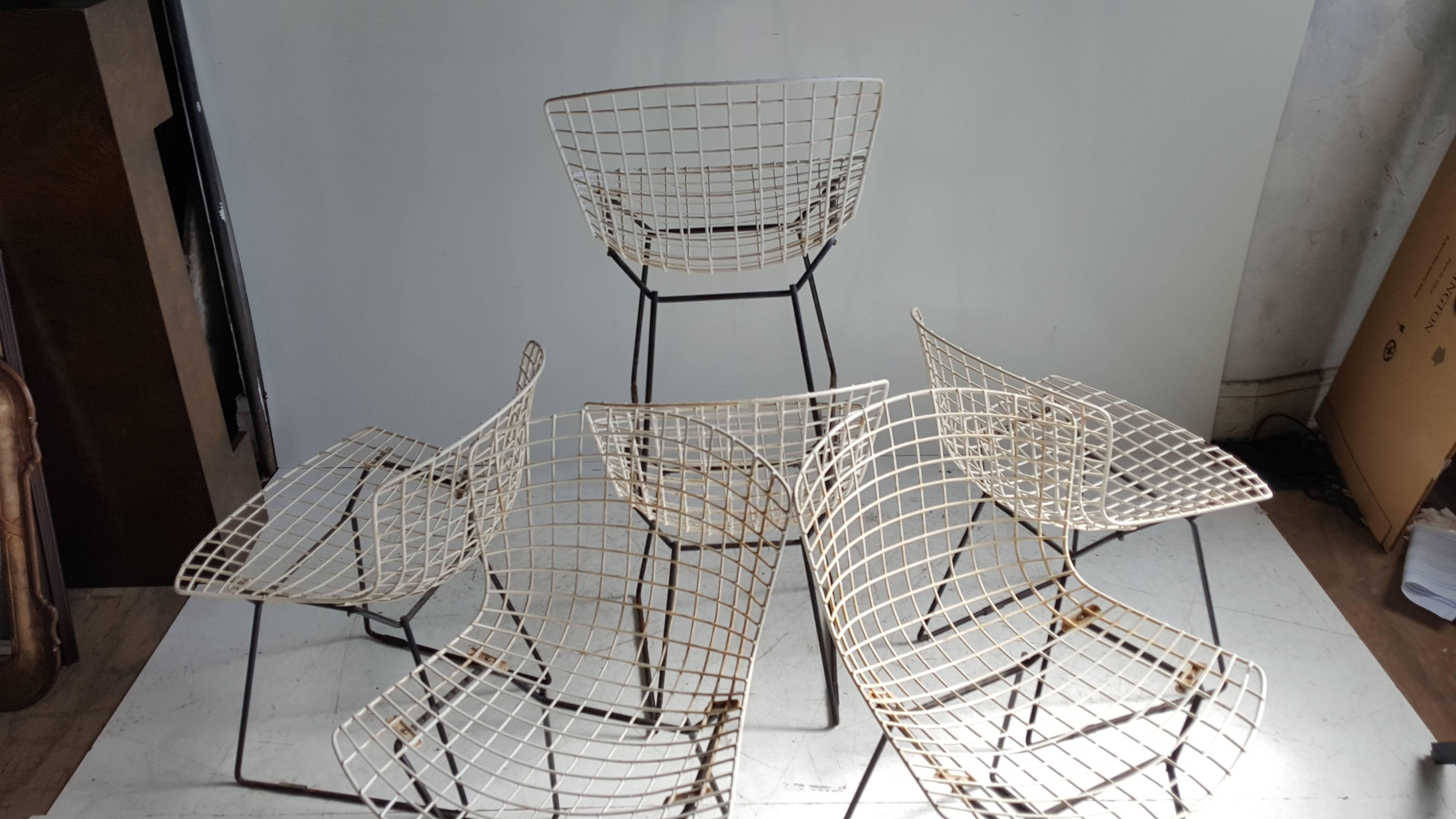 20th Century Classic Modernist Wire Bertoia Six Side Chairs Harry Bertoia for Knoll