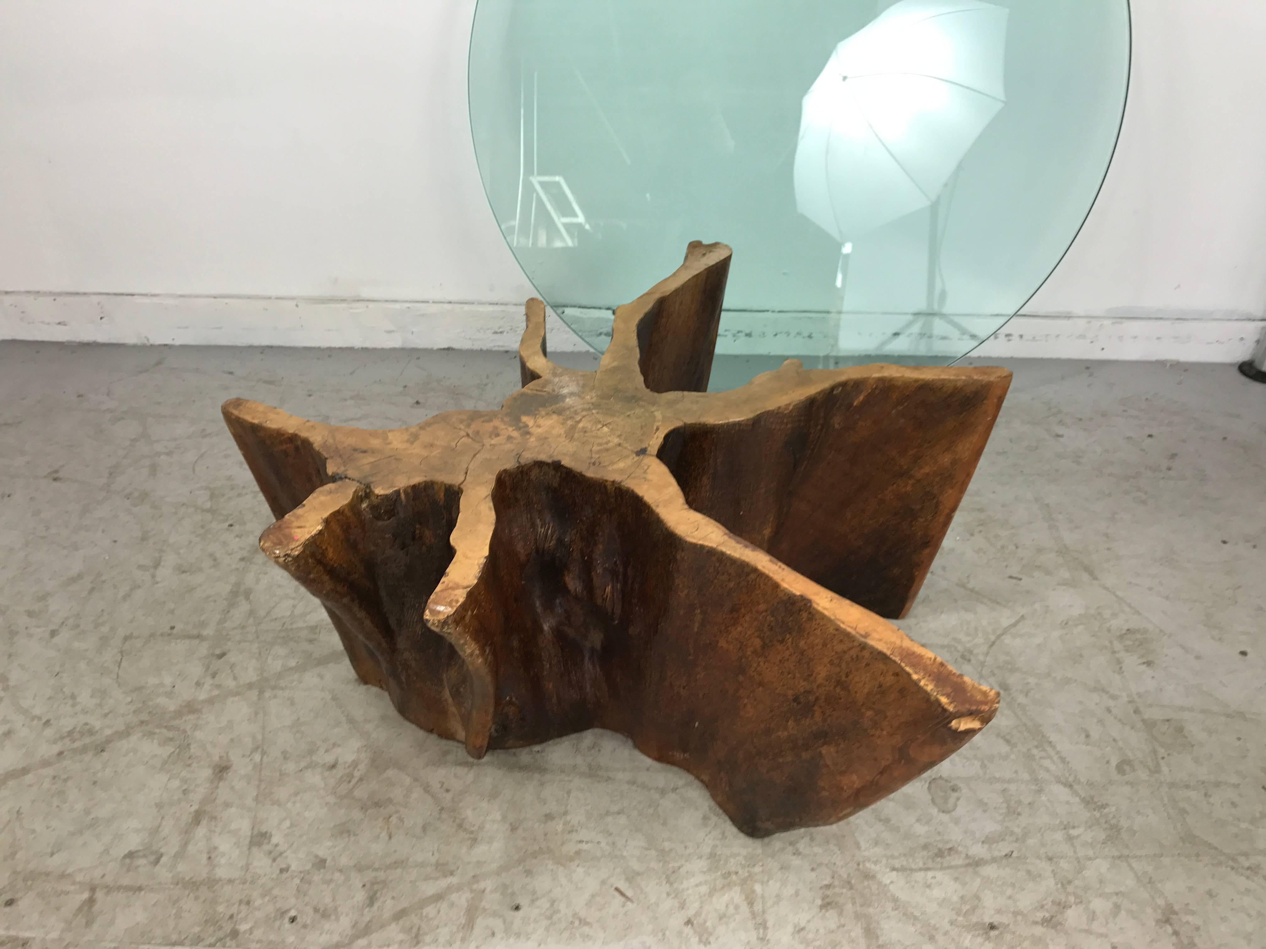 American Unusual Organic Cyprus Root and Glass Coffee Table