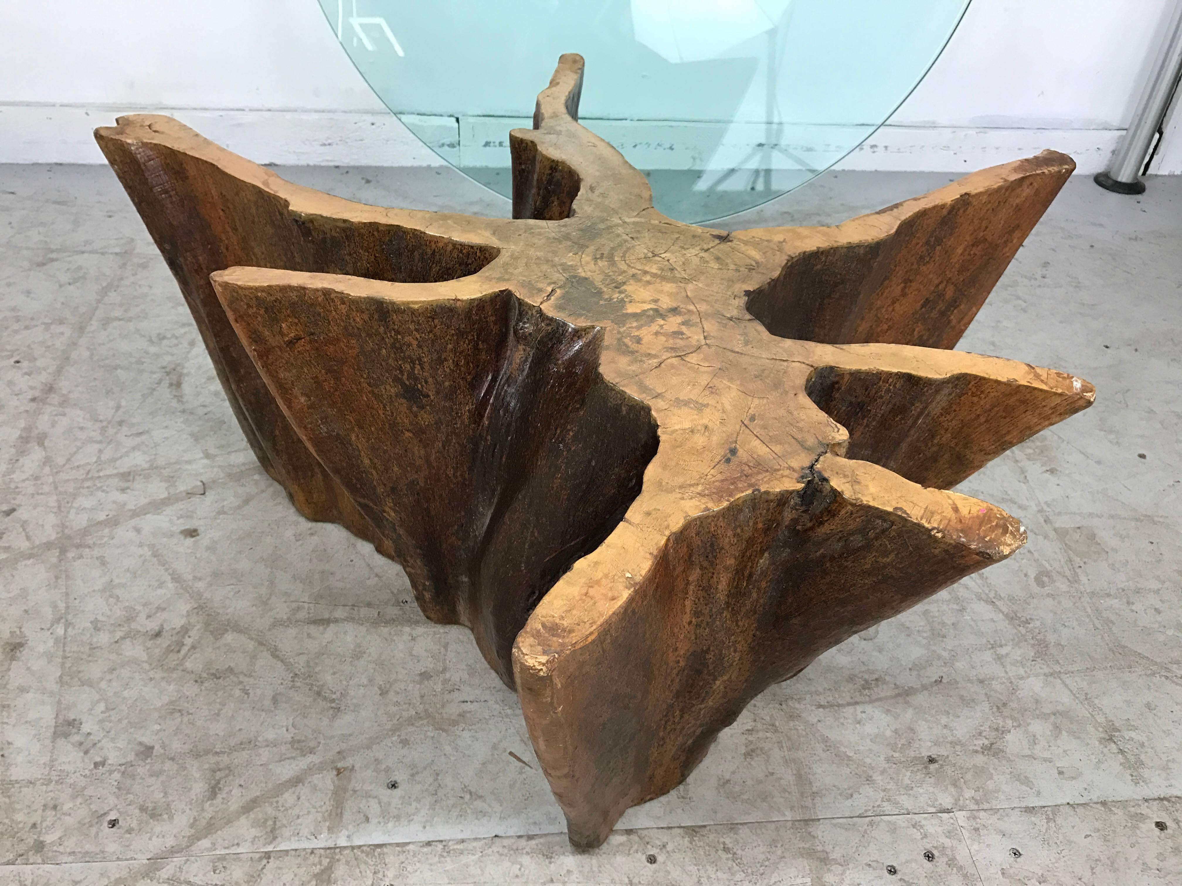 Unusual Organic Cyprus Root and Glass Coffee Table In Good Condition In Buffalo, NY