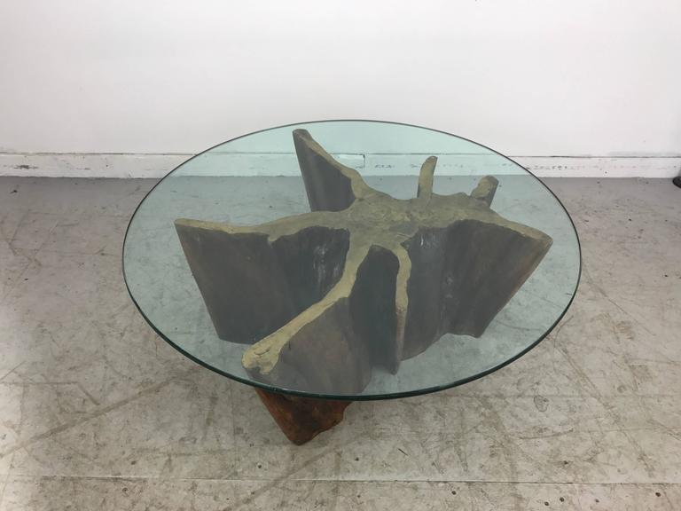 Unusual Organic Cyprus Root and Glass Coffee Table at 1stDibs
