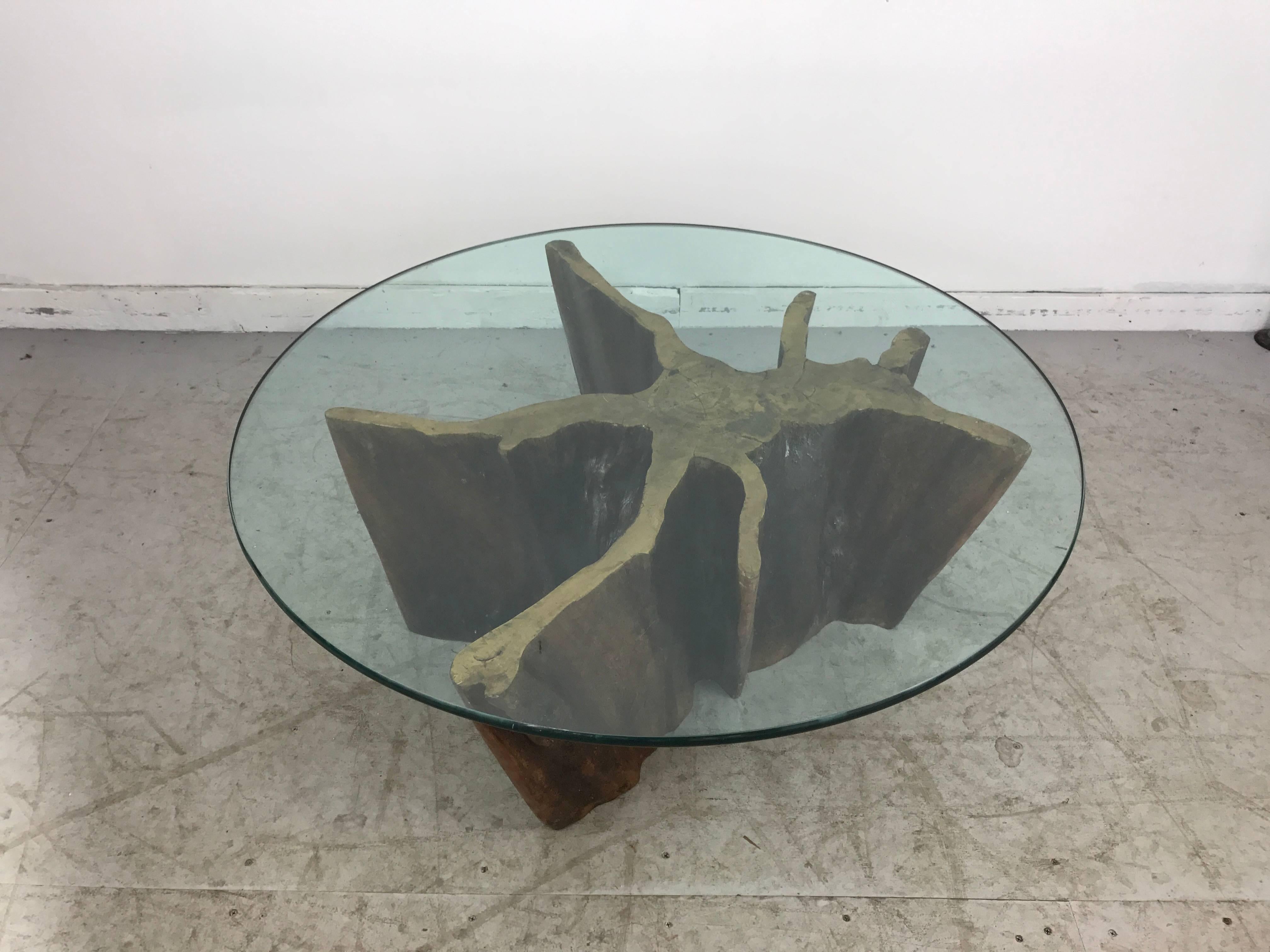 Unusual organic cyprus root and glass coffee table. Retains original old green edge glass top, 4o