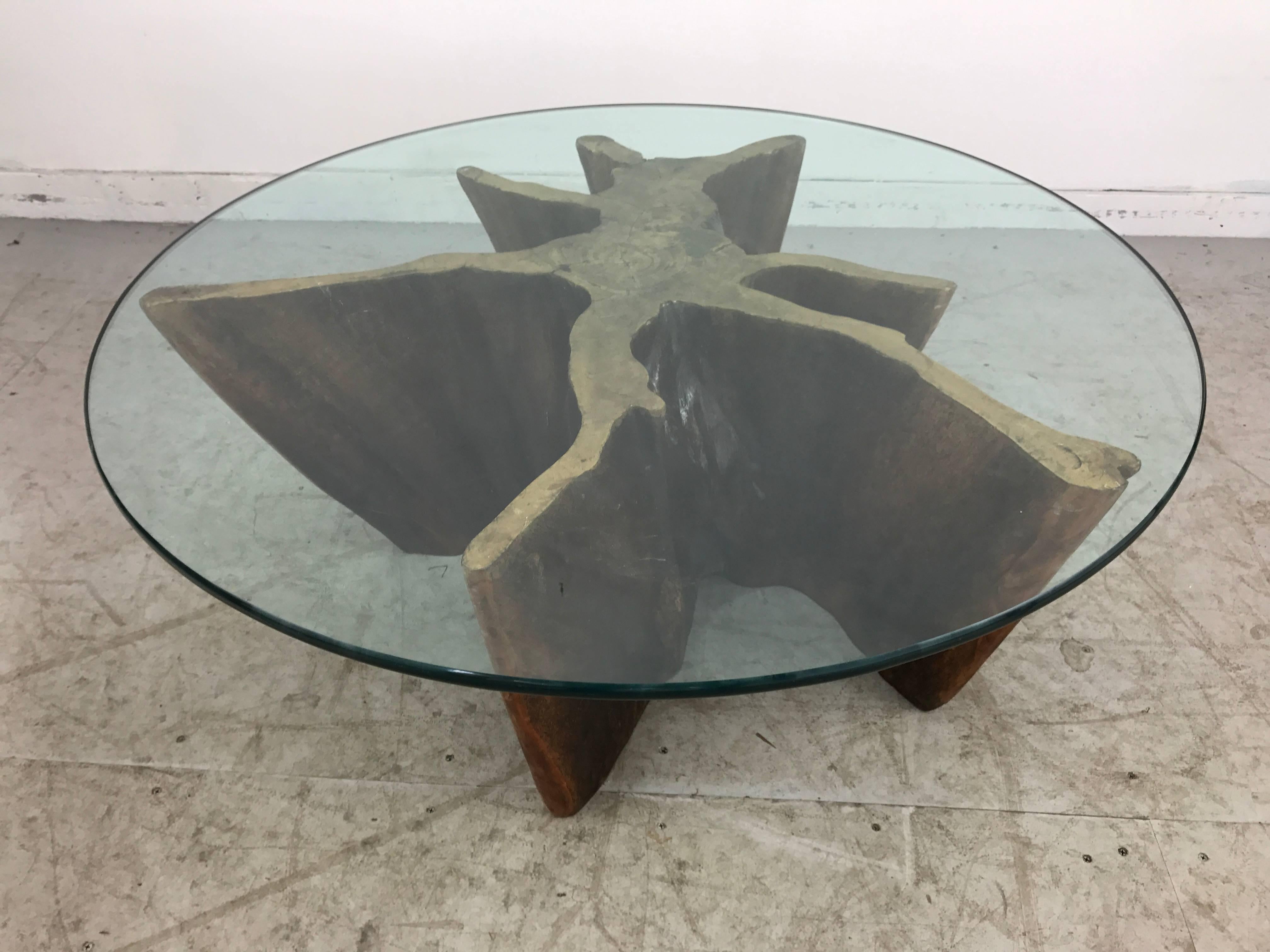 Unusual Organic Cyprus Root and Glass Coffee Table 2