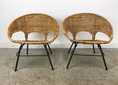 Modernist Wicker and Iron Hoop Chairs by Franco Albini