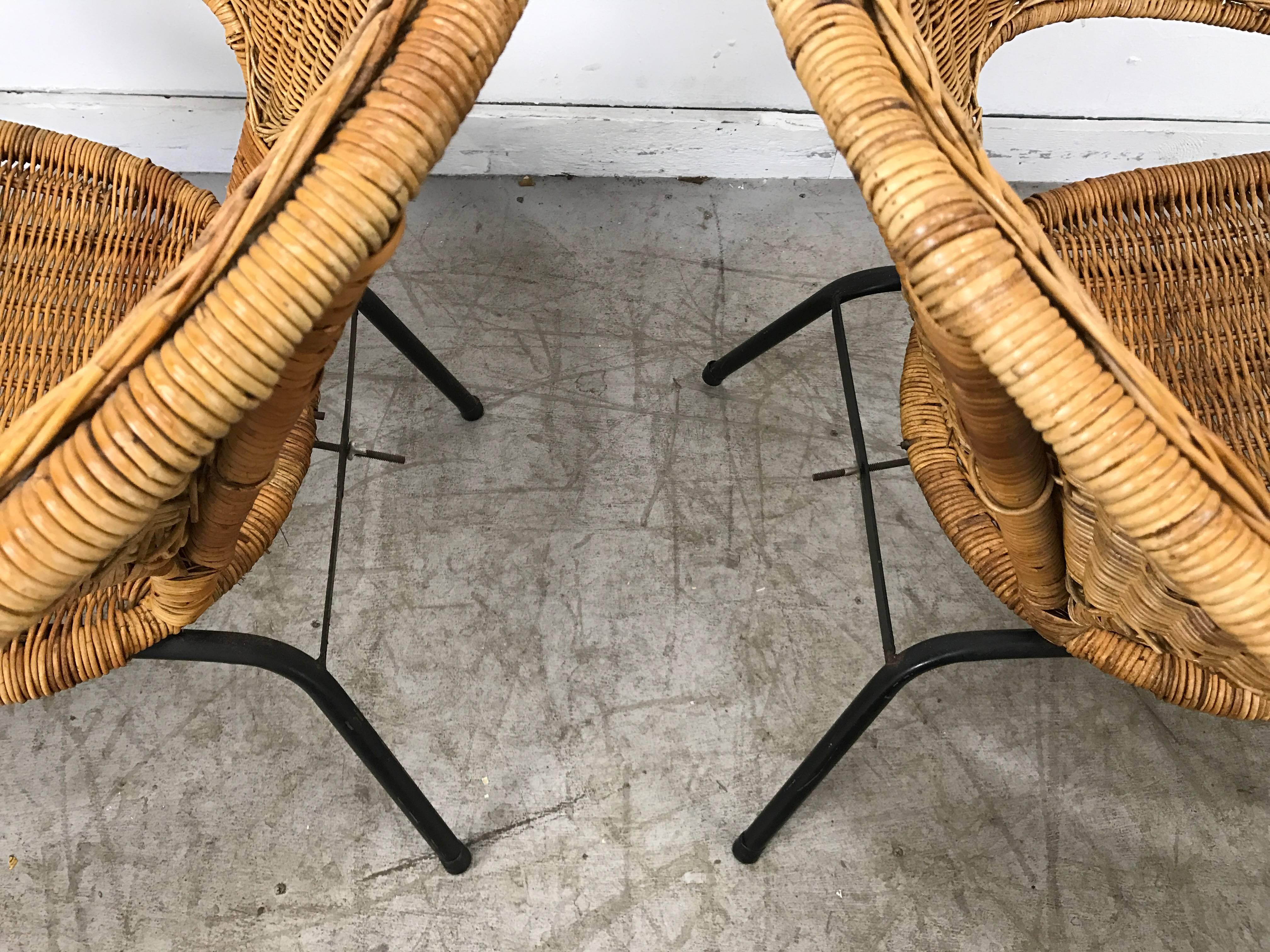 Modernist Wicker and Iron Hoop Chairs by Franco Albini 2