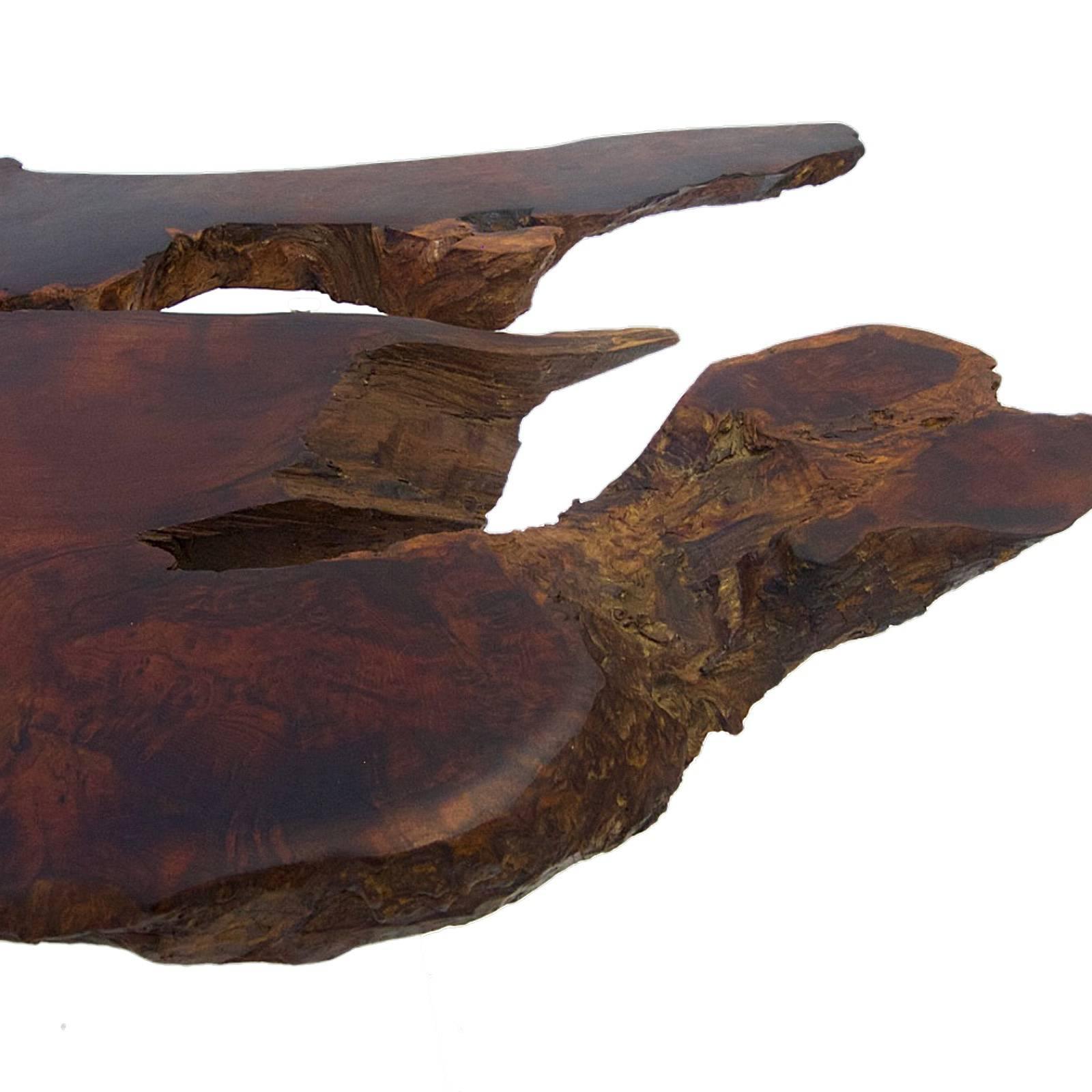 Sculptural One of a Kind Burled Redwood and Lucite Floating Coffee Table In Good Condition In Hudson, NY