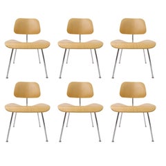 Set of 6 Charles Eames "DCM" Molded Plywood Chairs for Herman Miller White Ash