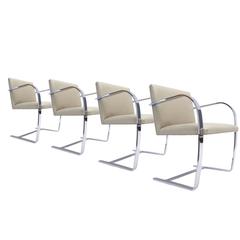 Set of Four Mies van der Rohe Volo "Parchment" Flat Bar Brno Chairs by Knoll