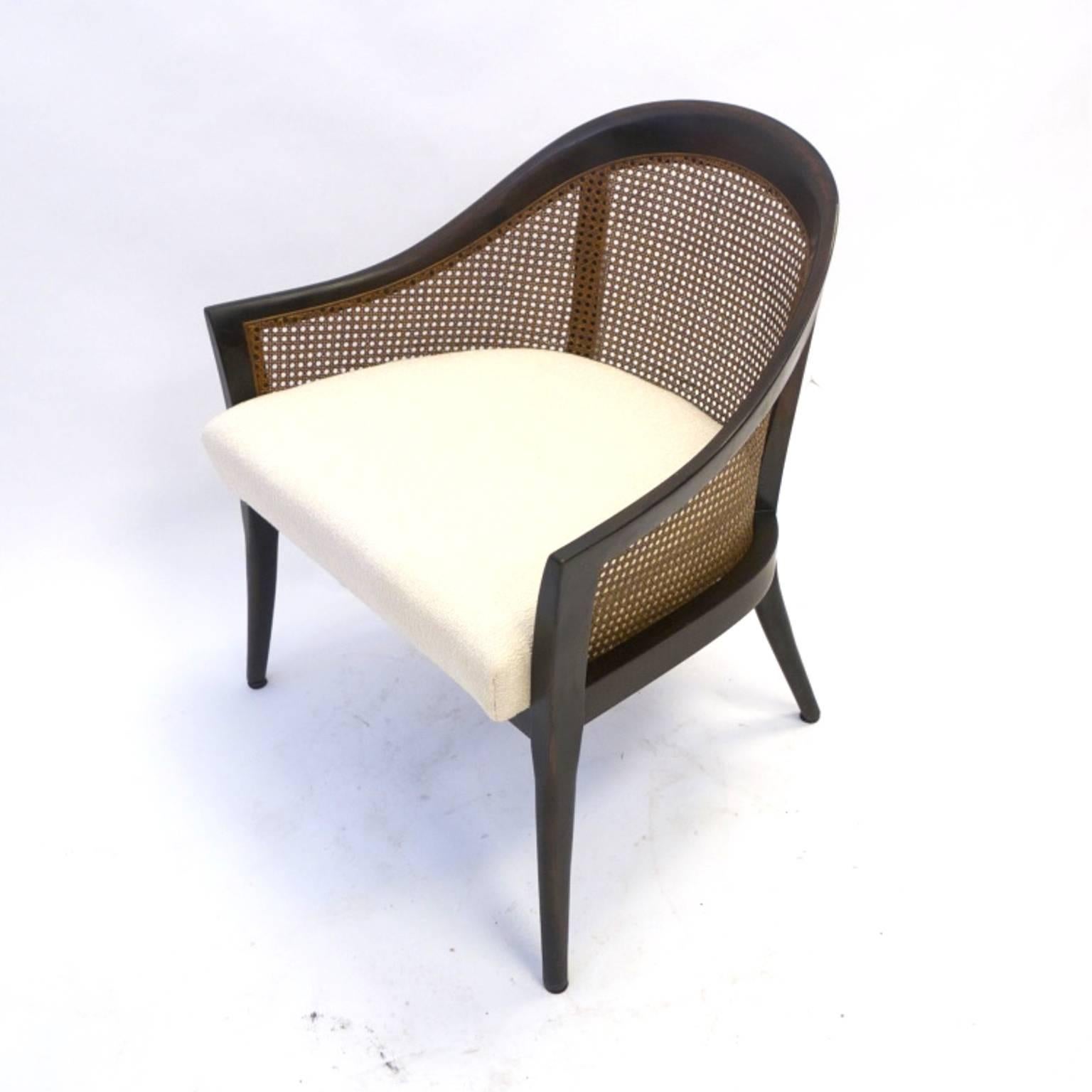 Mid-Century Modern Stunning Harvey Probber Cane and Mahogany Occasional Armchair
