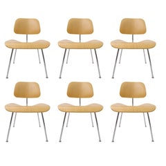 Set of 6 Charles Eames "DCM" Molded Plywood Chairs for Herman Miller White Ash