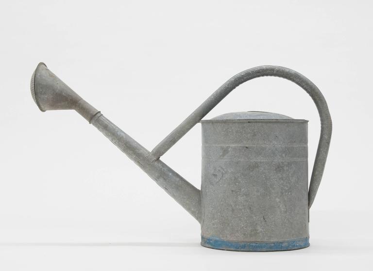 Large Antique Galvanized Watering Can German Flying Bat At 1stdibs Large Old Galvanized Watering Can From Germany Condition Is Excellent Works Perfectly Measures