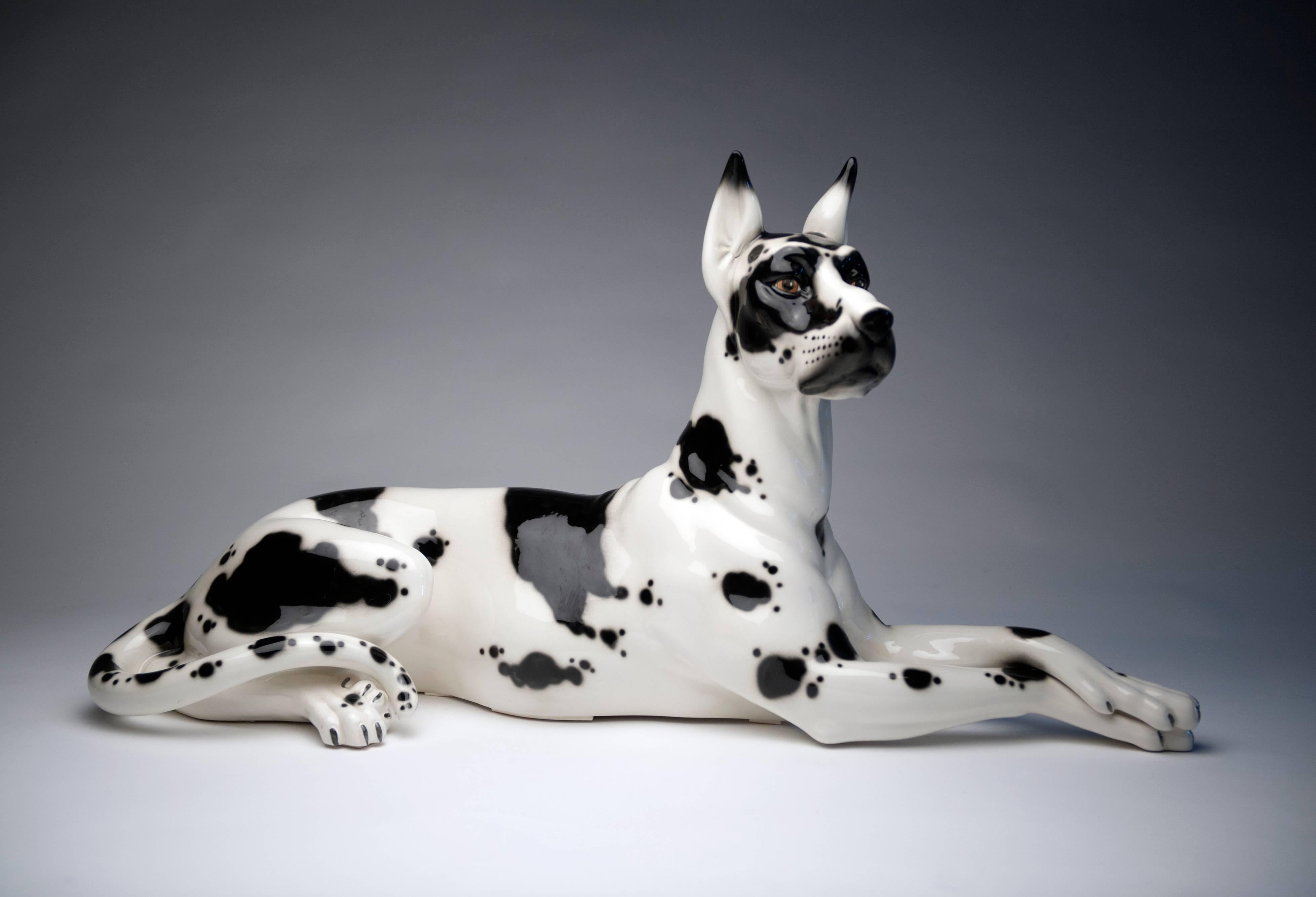 Fantastic life like and life size Great Dane ceramic by Hispania which was owned by Lladro. Hand-painted sculpture is in excellent condition with no issues to mention. Marked Hispania to underside.