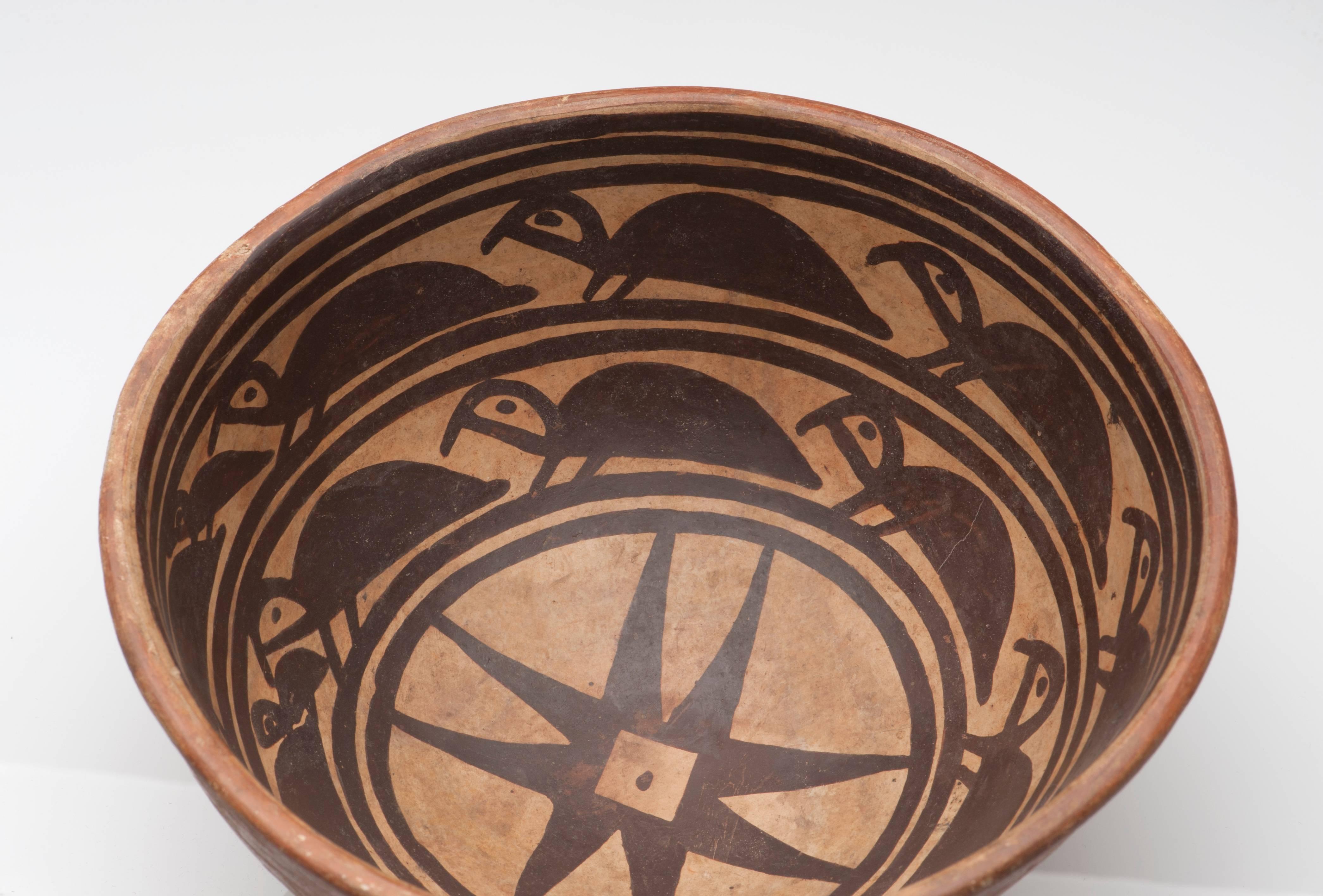 Pre-Columbian Narino Turtle Pottery Bowl 3
