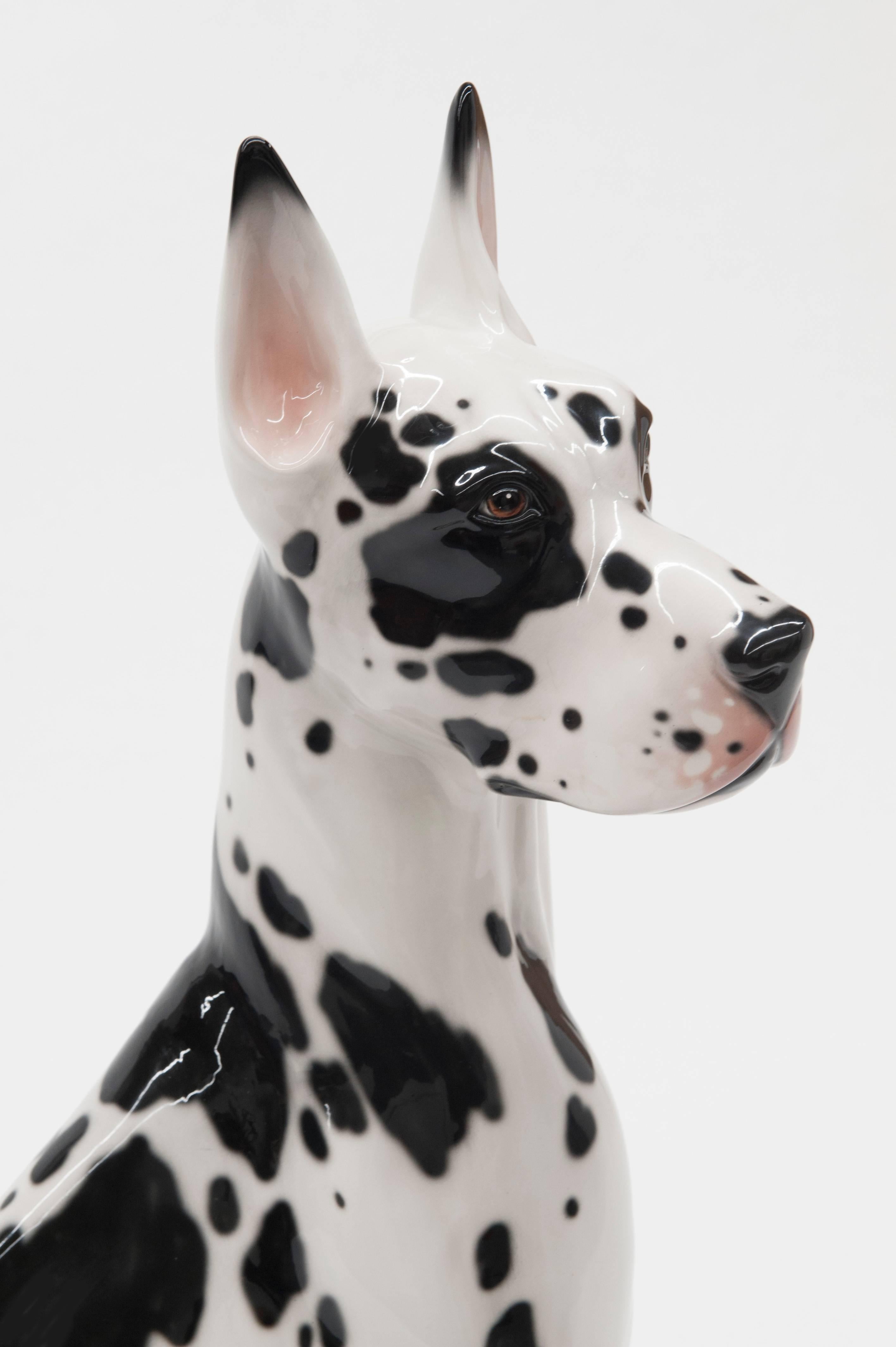 Large, life like porcelain Great Dane made in Italy. Hand-painted sculpture is in excellent condition with no issues to mention. Stamped "Made in Italy" to underside. Measures 37.5 inches high.
   