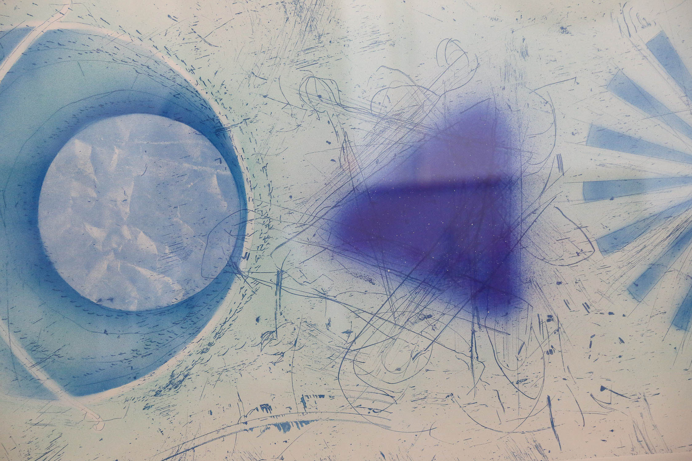 Blue & White J. Rosenquist Signed & Numbered Photo-Etching Aquatint, Rinse, 1978 In Good Condition For Sale In Houston, TX