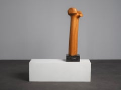 Biomorphic Modernist Sculpture in Carved Wood, Netherlands, 1970s