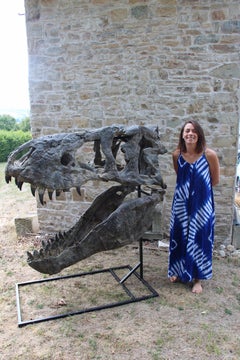 Tyrannosaurus Head Fossil For A Museum