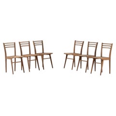 Juego de seis sillas de comedor de haya con respaldo de escalera, Francia, década de 1950