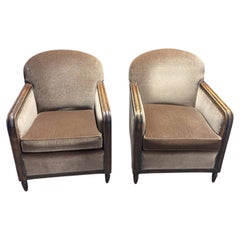 Pair of French Art Deco Club Chairs, Mohair and Stained Wood, 1930s