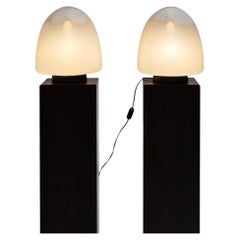 Paire de lampe à poser Ebe 34 par Giusto Toso pour Leucos