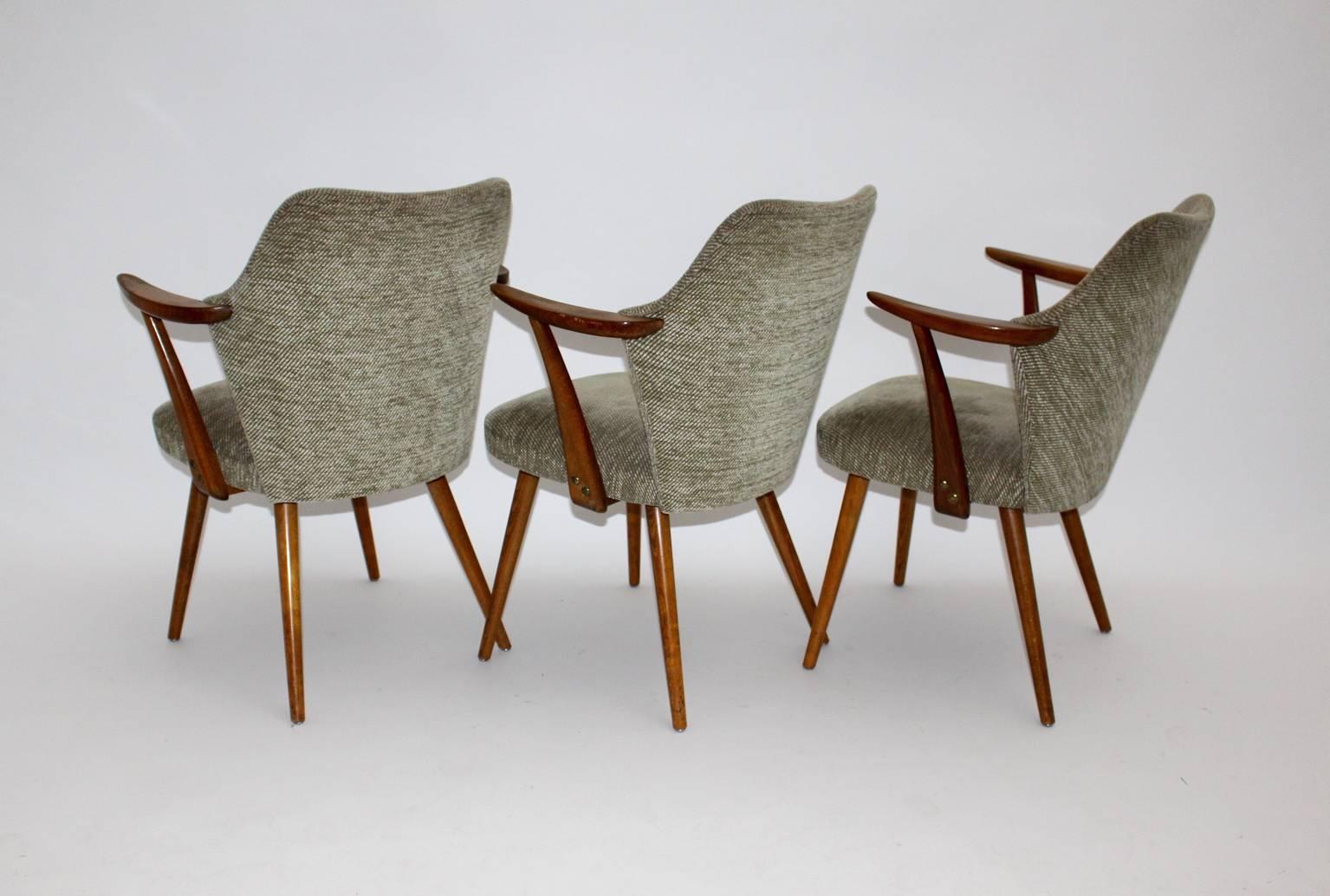 Moderner Sessel aus Buchenholz, Mid-Century Modern, Oswald Haerdtl zugeschrieben 1950er Jahre (Moderne der Mitte des Jahrhunderts) im Angebot