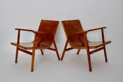 Mid-Century Modern Beech Pair Duo Vintage Roland Rainer Lounge Chair 1952 Vienna