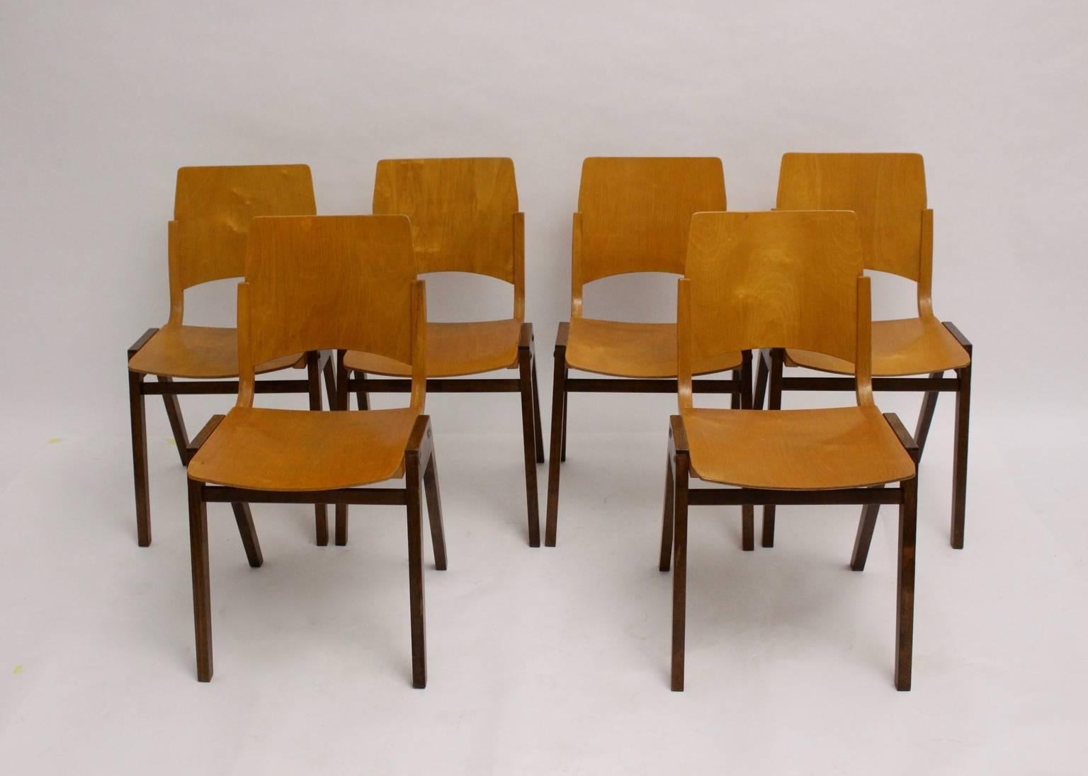 Mid Century Modern vintage timeless design chairs or dining chairs designed by Roland Rainer for the Viennese Stadthalle 1952.
Executed by Emil & Alfred Pollak, Vienna
Made of solid beechwood base and brown stained
The seat and the back were made of