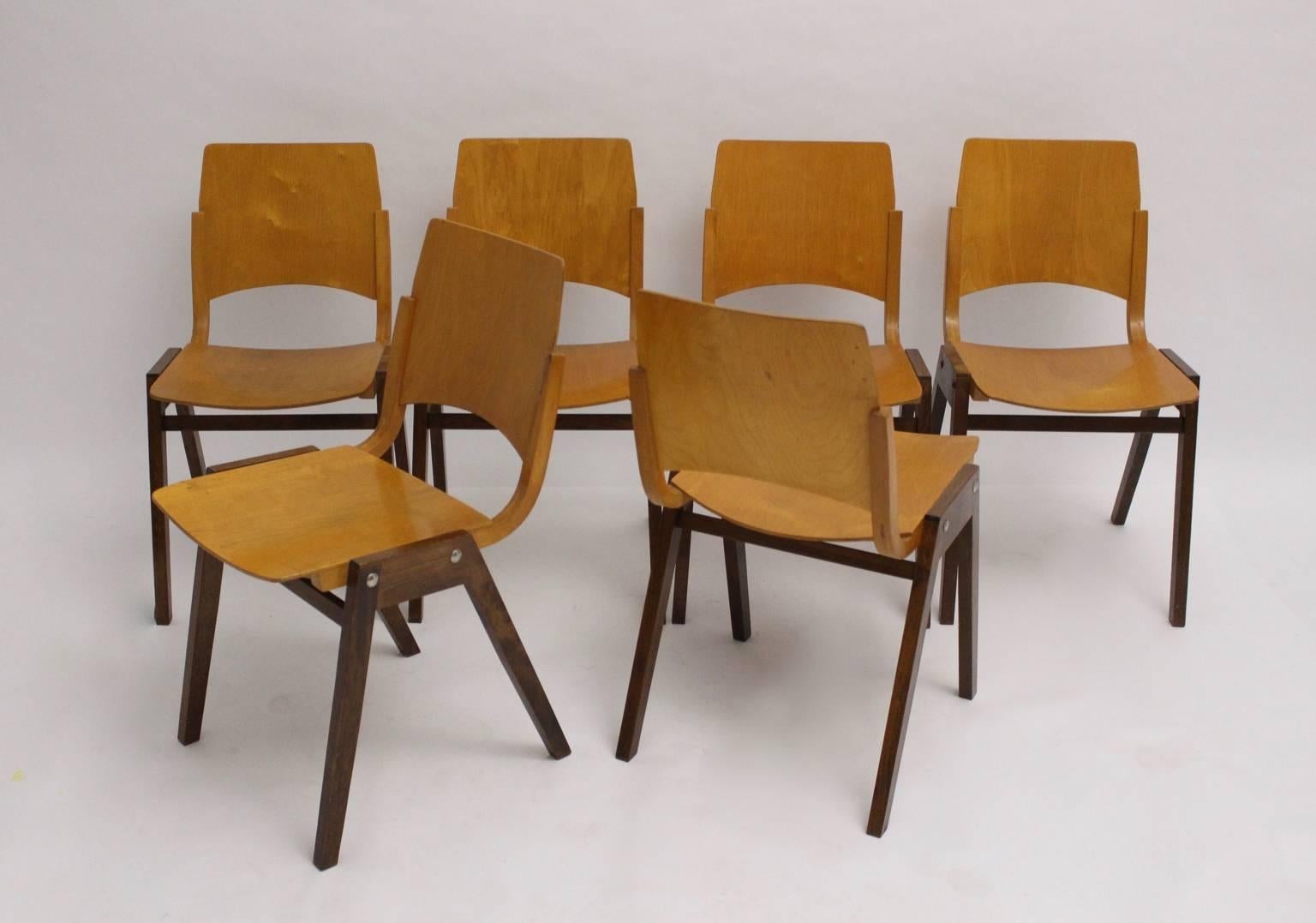 Mid-Century Modern Chaises vintage mi-siècle modernes P7  Autriche, 1952, ensemble de six pièces par Roland Rainer en vente