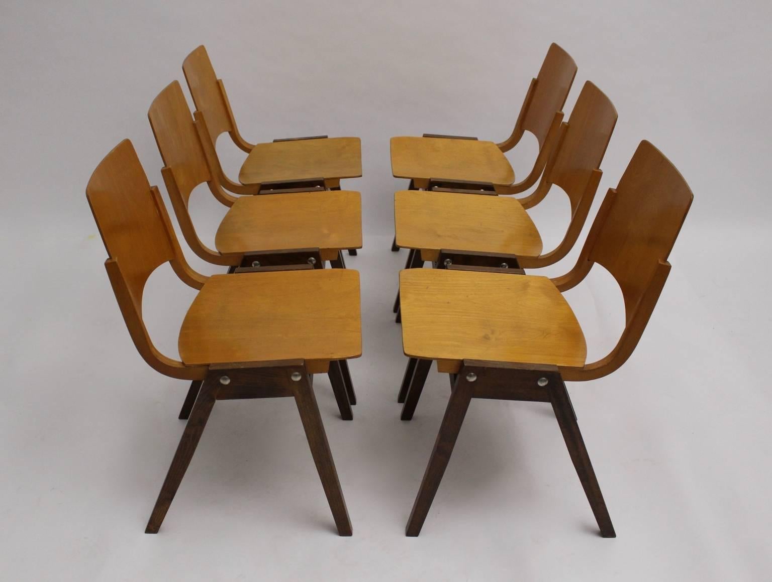 Mid-Century Modern Mid Century Modern Vintage Chairs P7  by Roland Rainer Austria, 1952 Set of Six For Sale