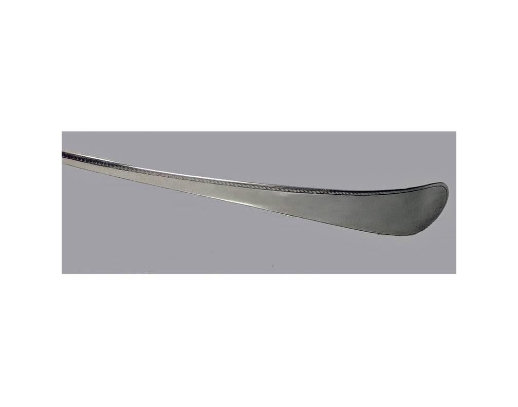 silver ladle