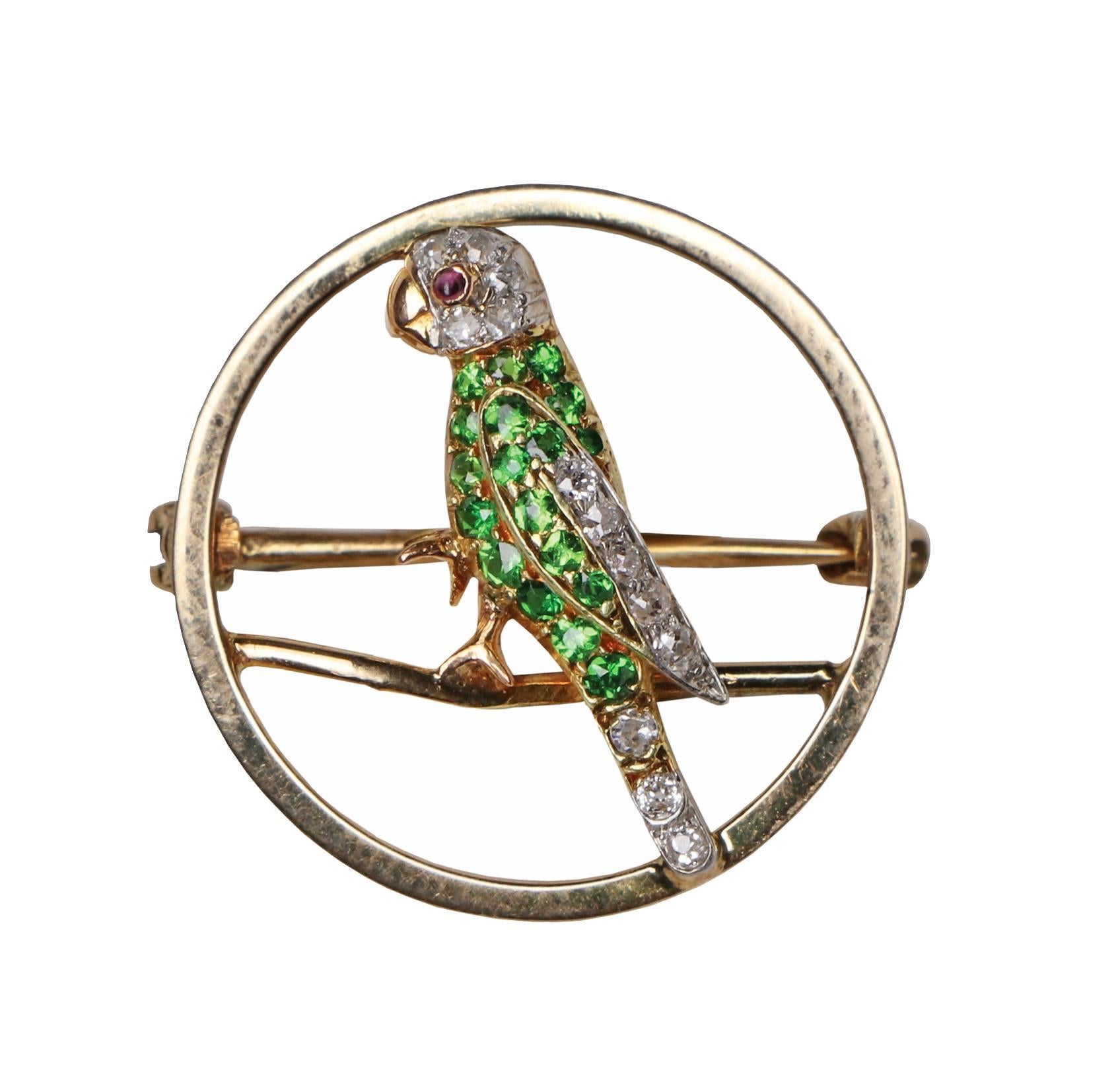 Demantoid, diamond and ruby parrot pin, circa 1920. The open gold circular pin depicting a parrot; the body set with 18 small round facetted demantoid with five small old round cut diamonds, the head and tail with a further eight small old round cut