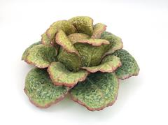 Large Cabbage Centerpiece