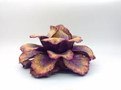 Purple Cabbage Centerpiece