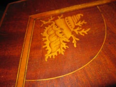 19th century English Hepplewhite Mahogany Sideboard Server