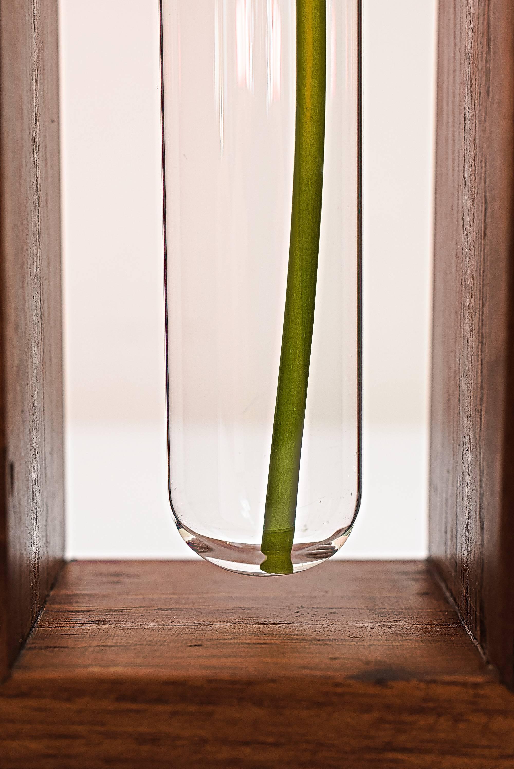 Glass Danish Teak Wood Vase, circa 1960s For Sale