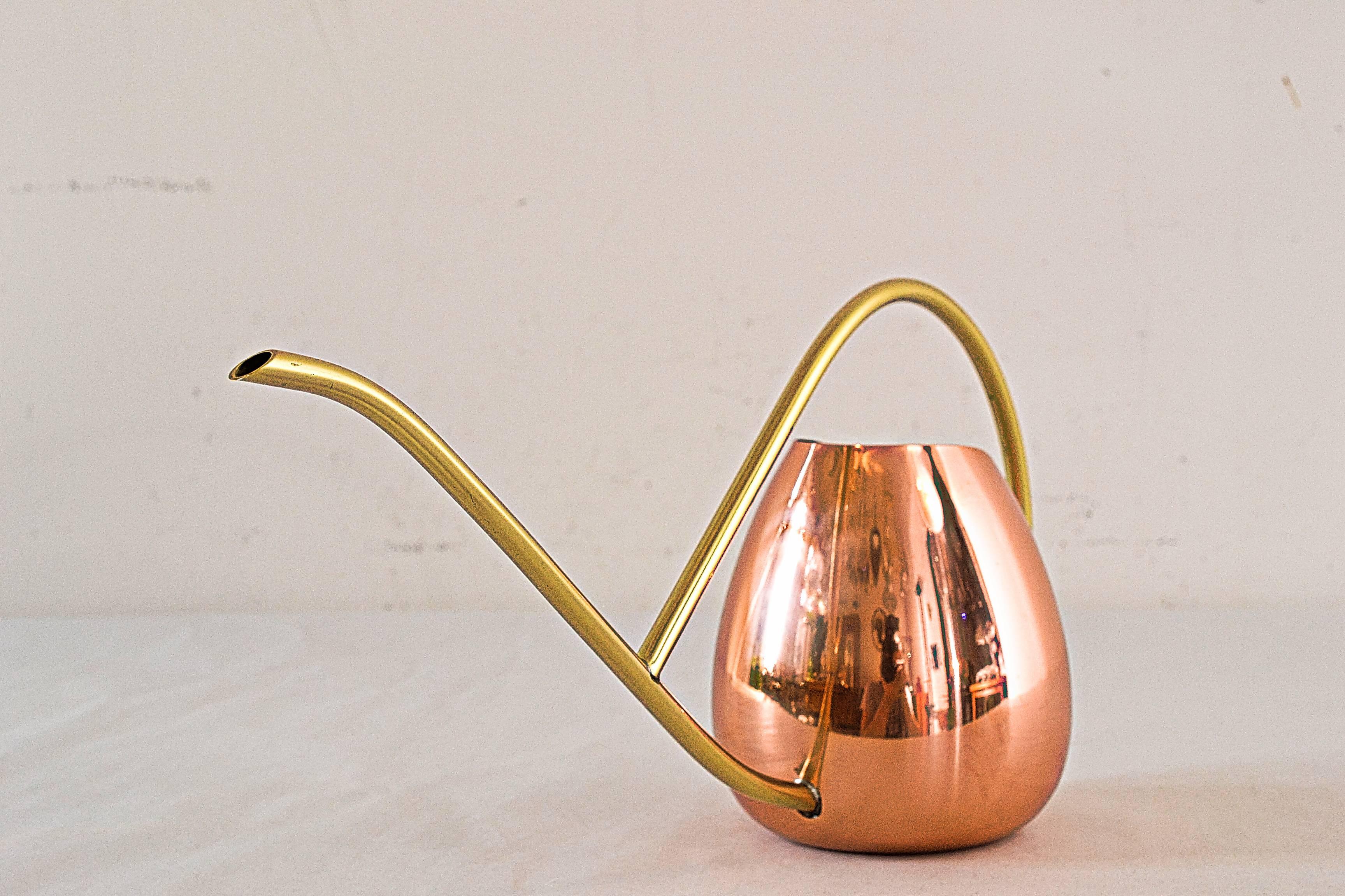 Mid-Century Modern Watering Can, in Style of Auböck, circa 1950s