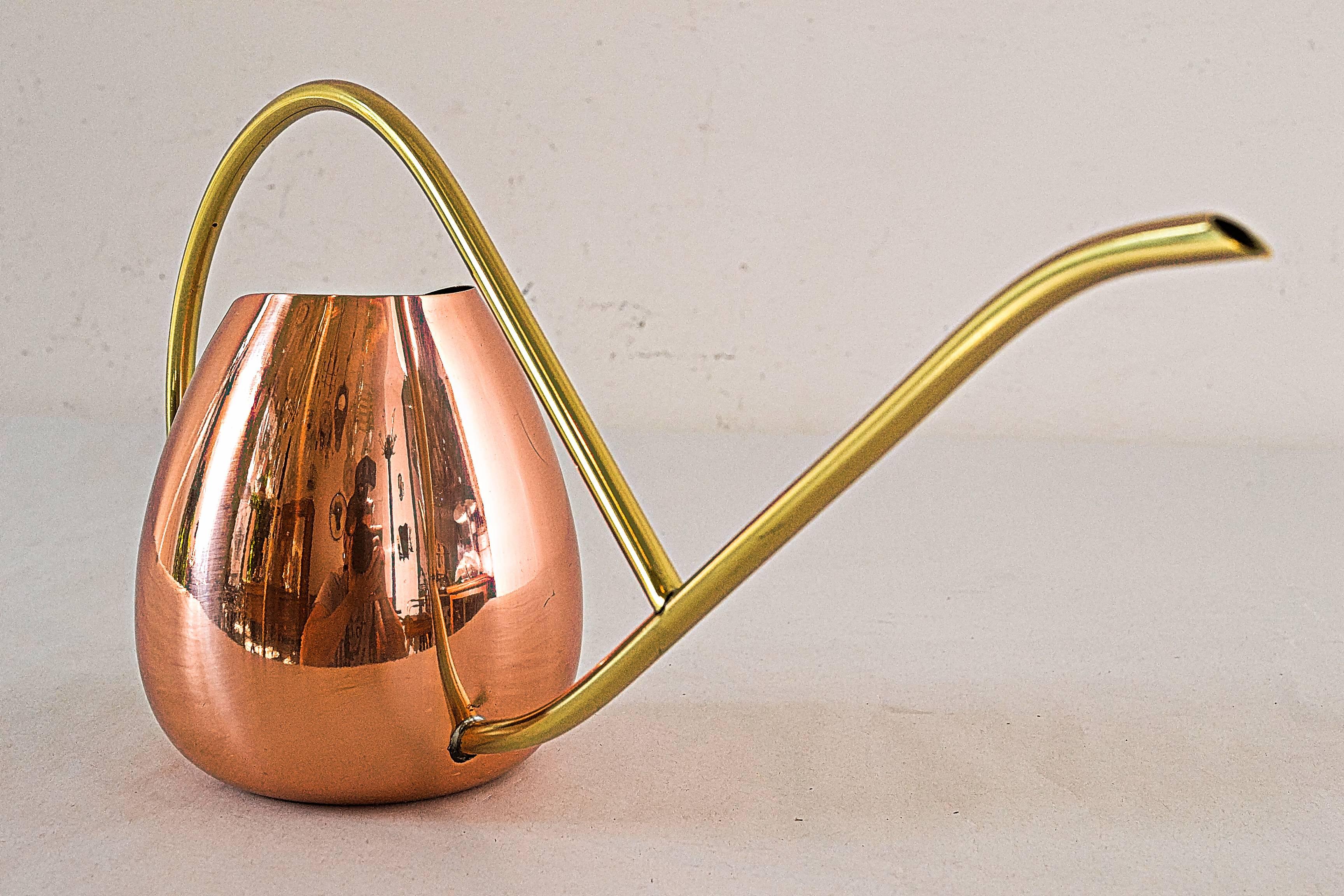 Polished Watering Can, in Style of Auböck, circa 1950s